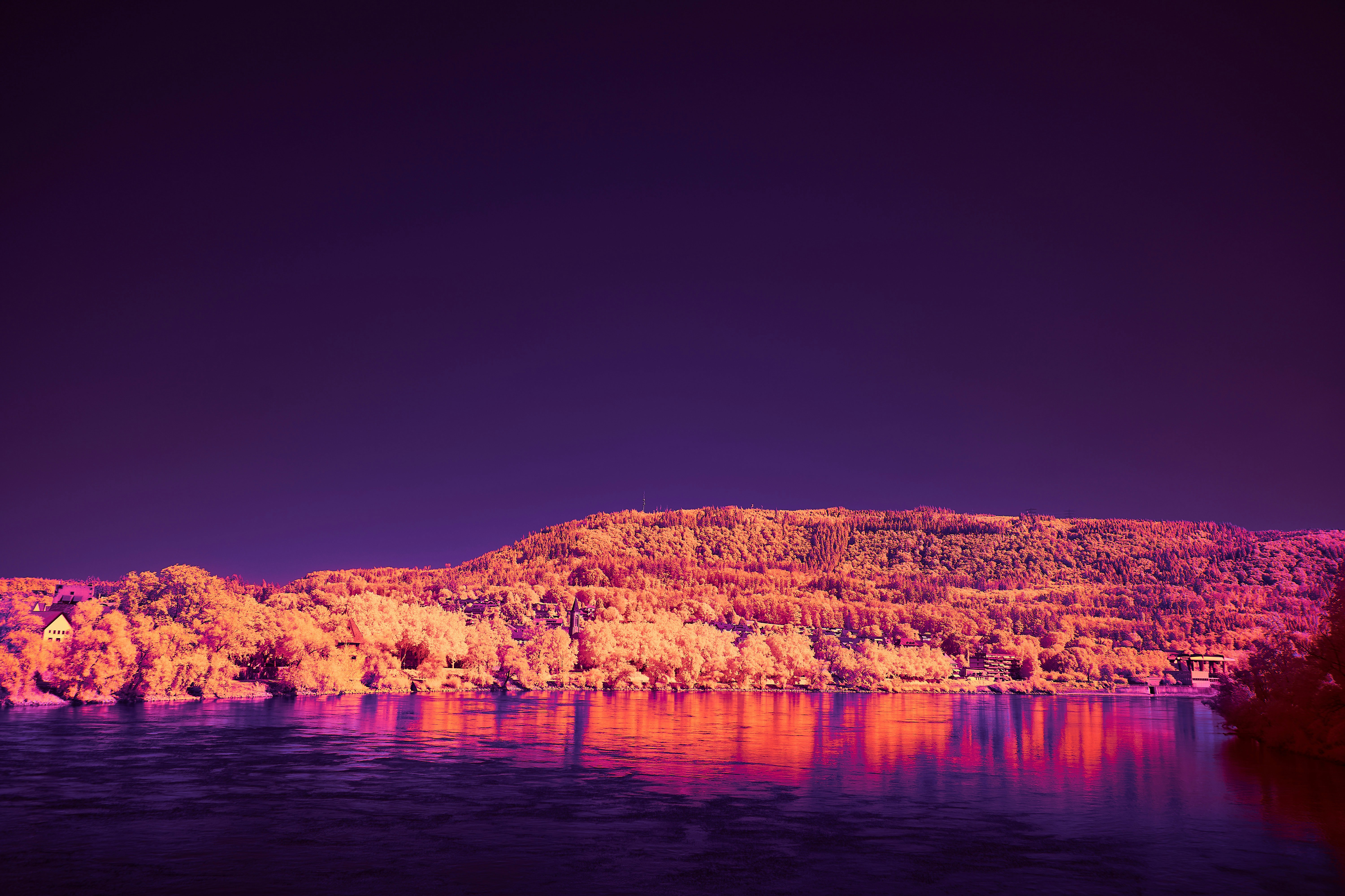 A body of water surrounded by trees