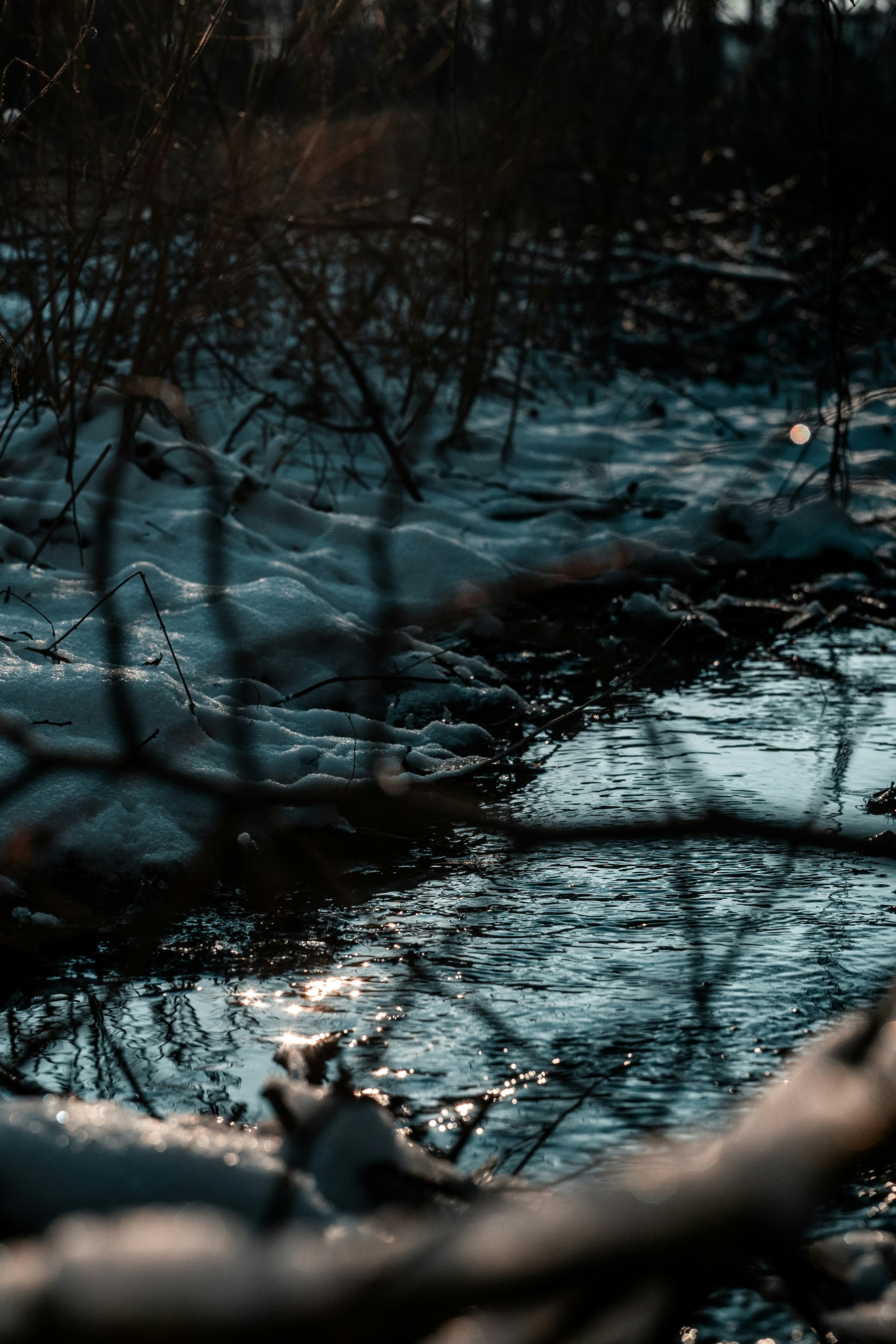 Photo by goosebumpsteam