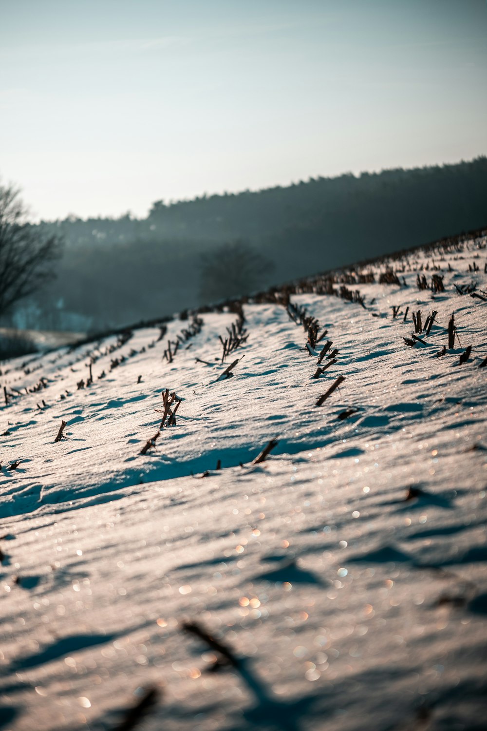 a snow covered field with trees in the background