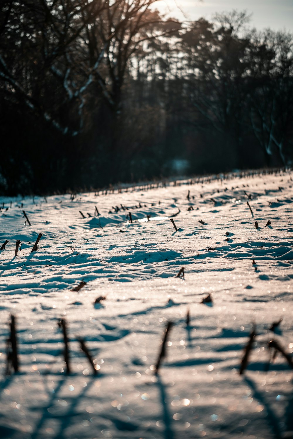 a field covered in snow with trees in the background