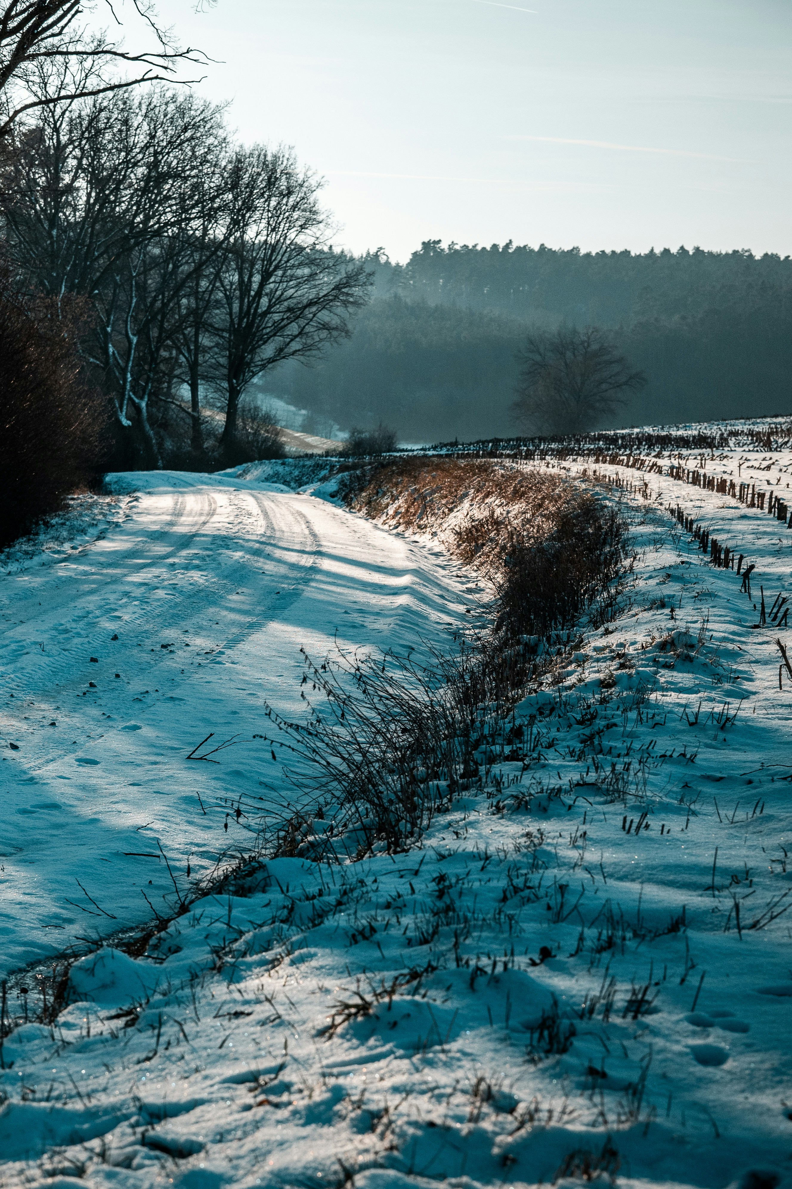 a snow covered field with trees in the background