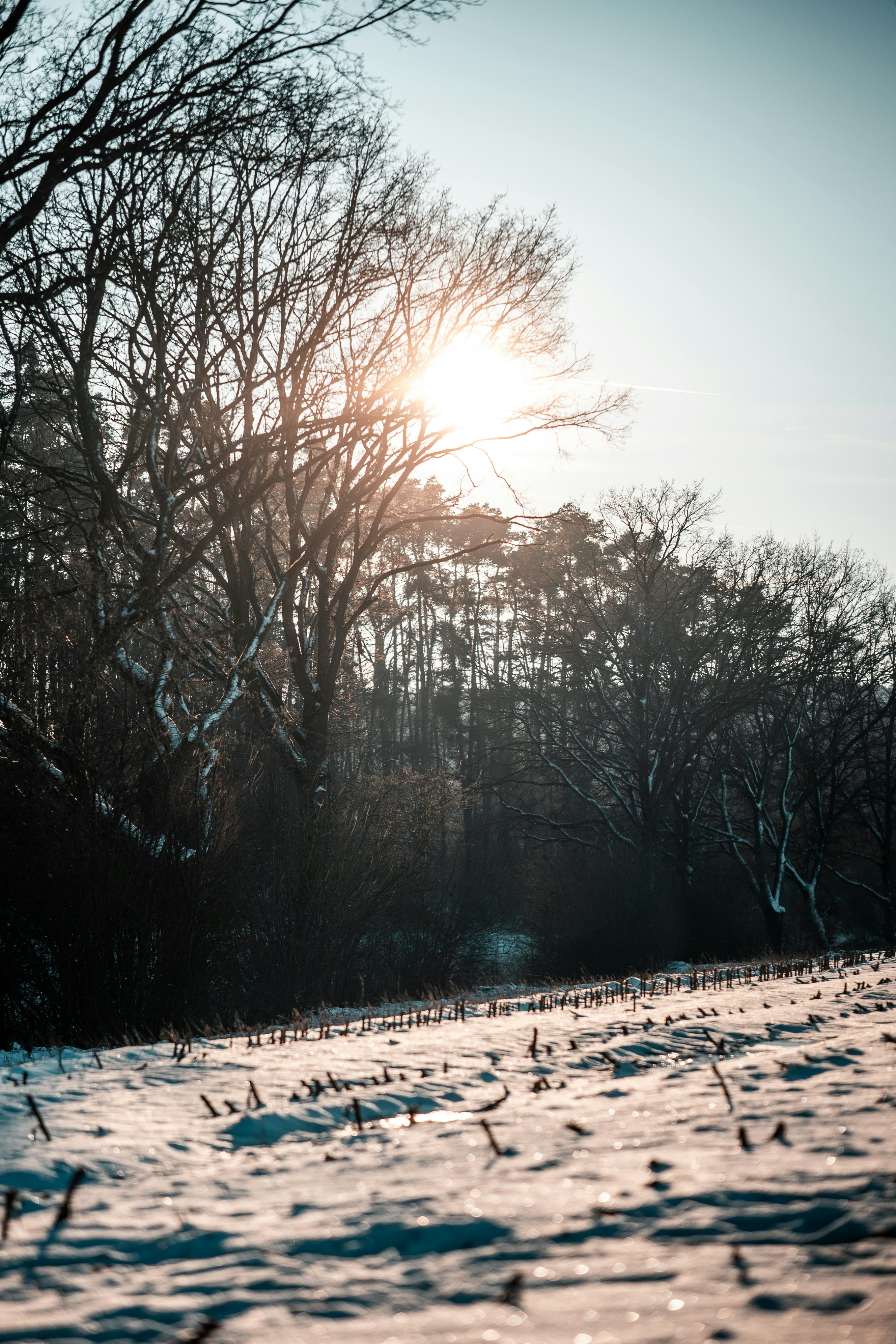 Photo by goosebumpsteam