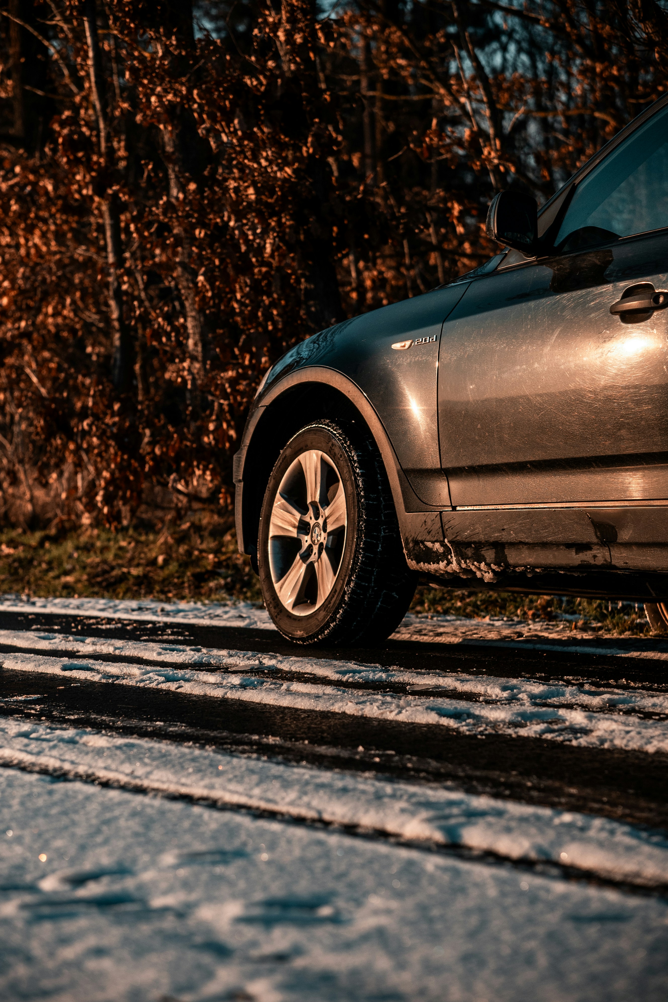 Photo by goosebumpsteam