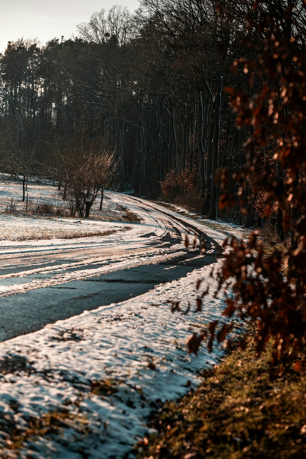 a snow covered road in the middle of a forest