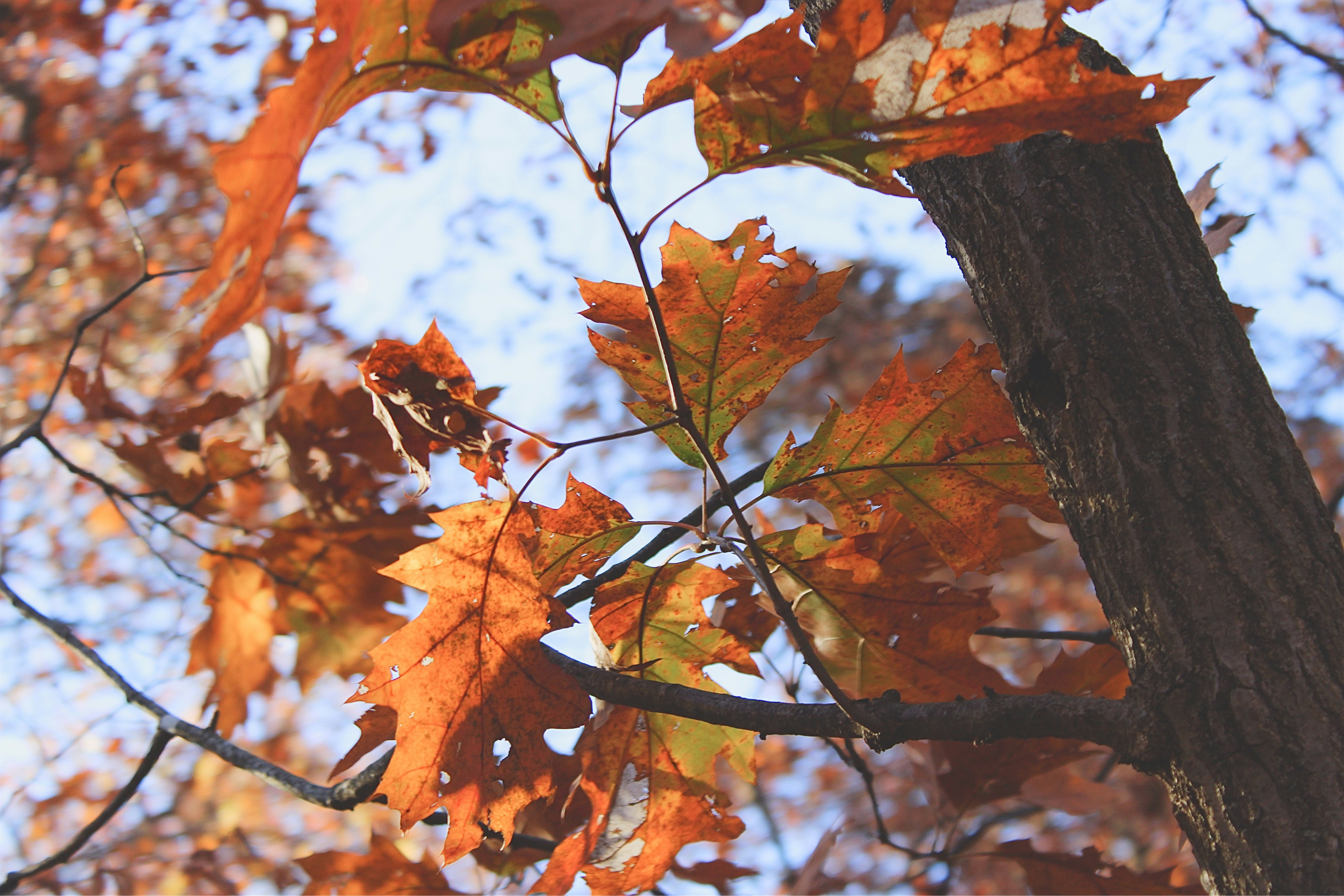 Photo by vivalavida_009