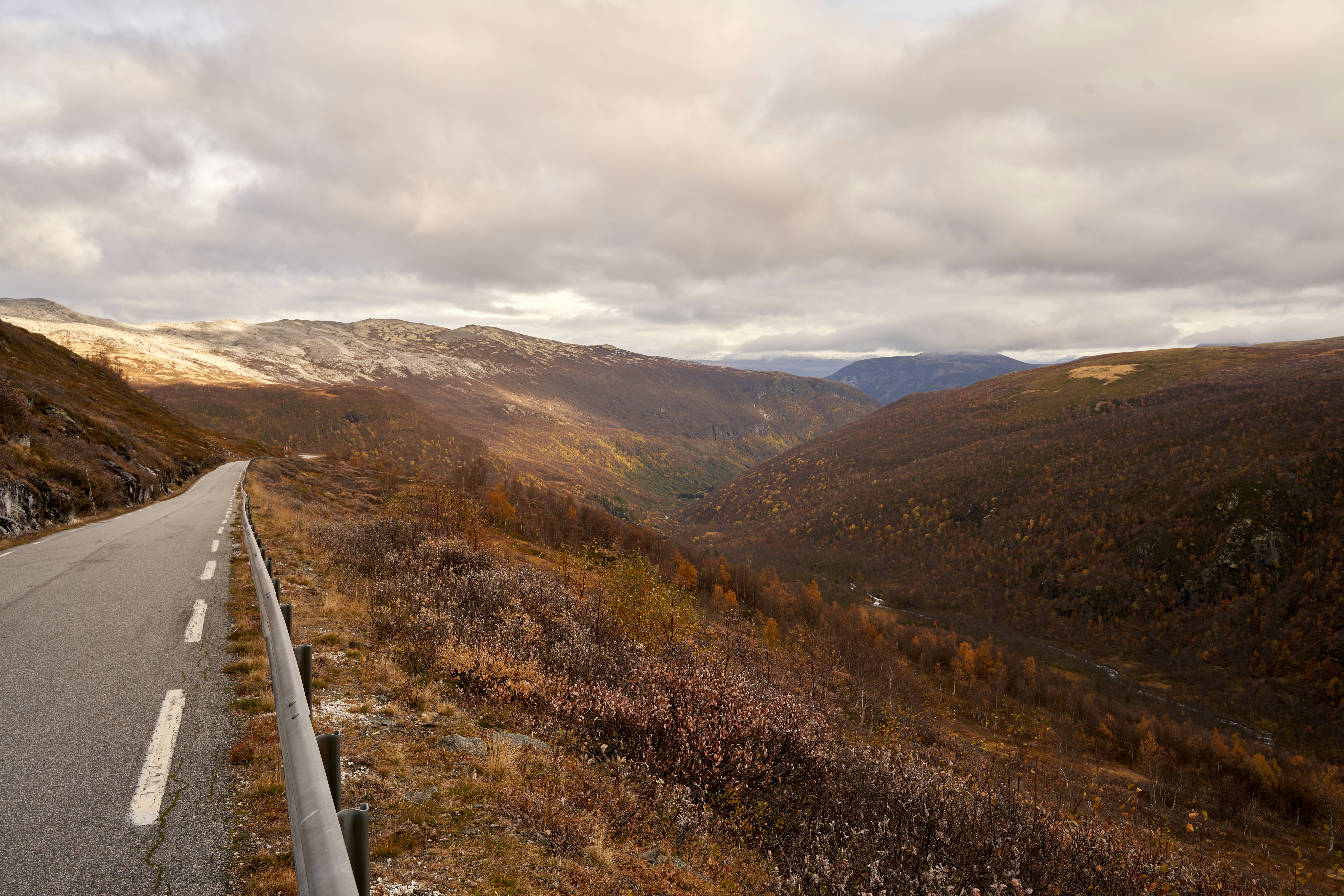 Photo by davotibarna