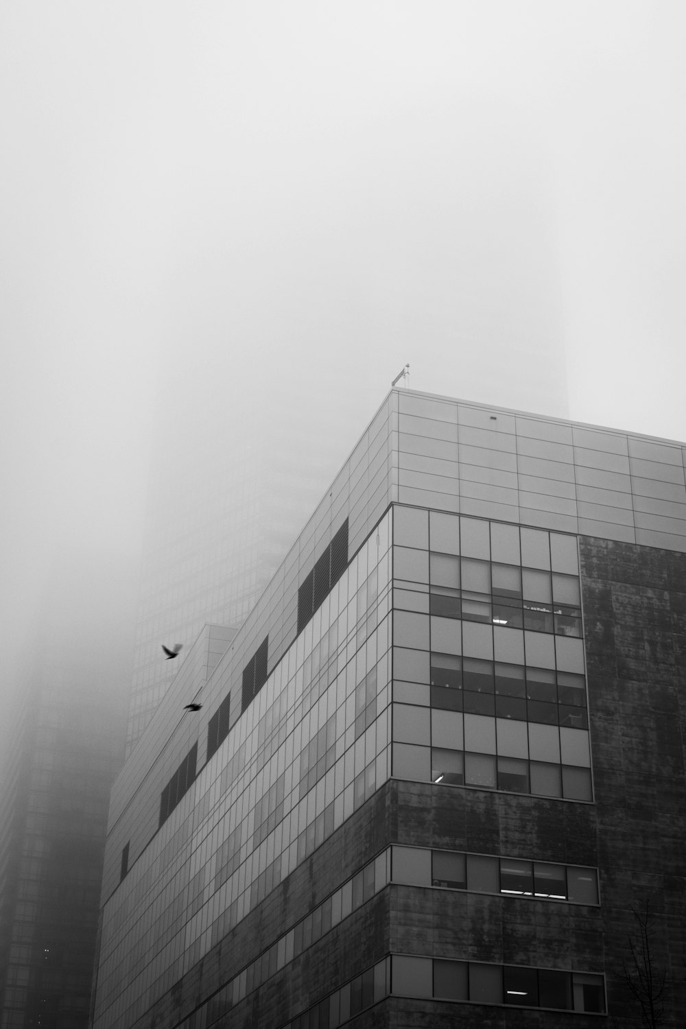 a very tall building in the fog with a bird flying by