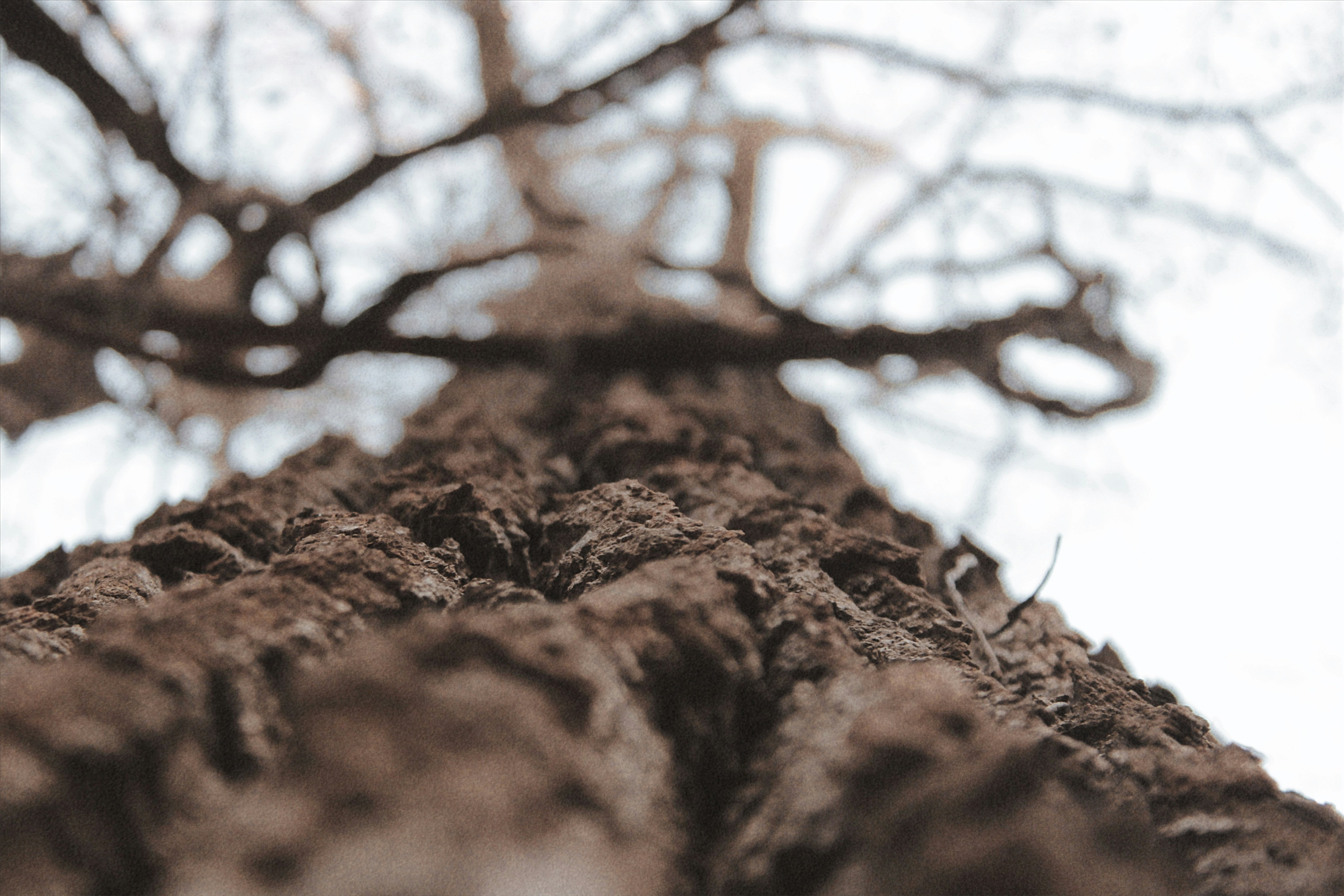 Photo by vivalavida_009