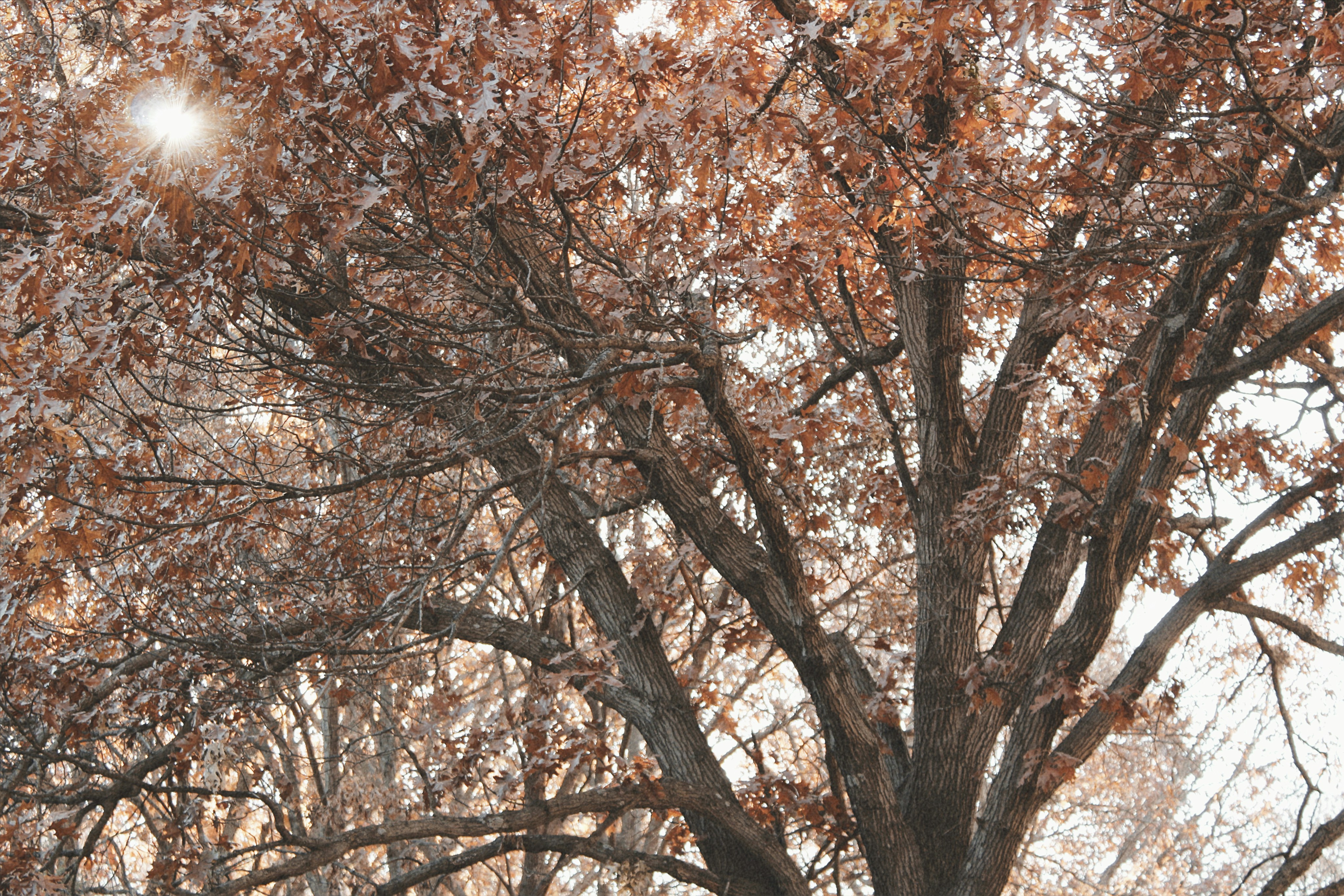 Photo by vivalavida_009