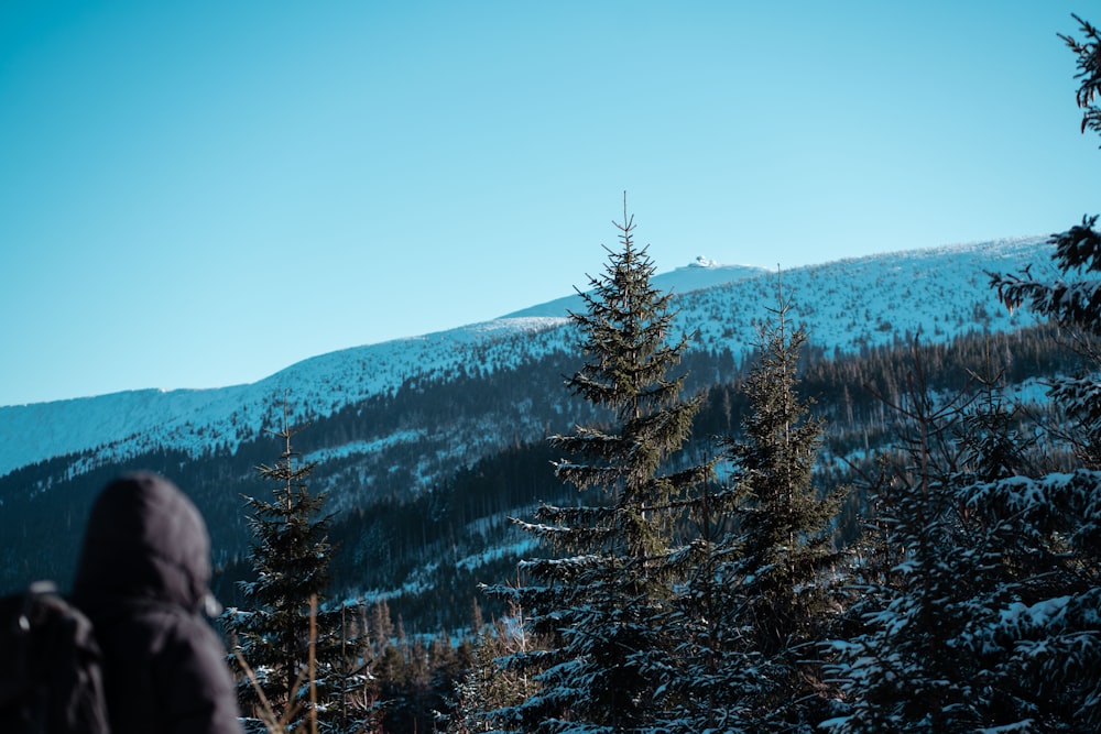 una persona parada frente a una montaña nevada