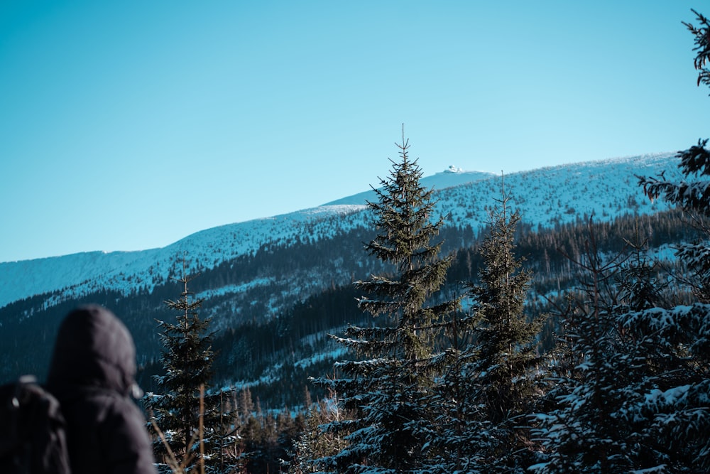 a person standing in front of a snowy mountain