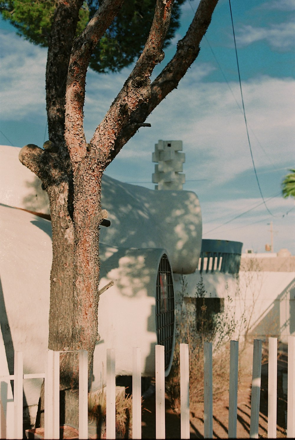 a white picket fence next to a tree