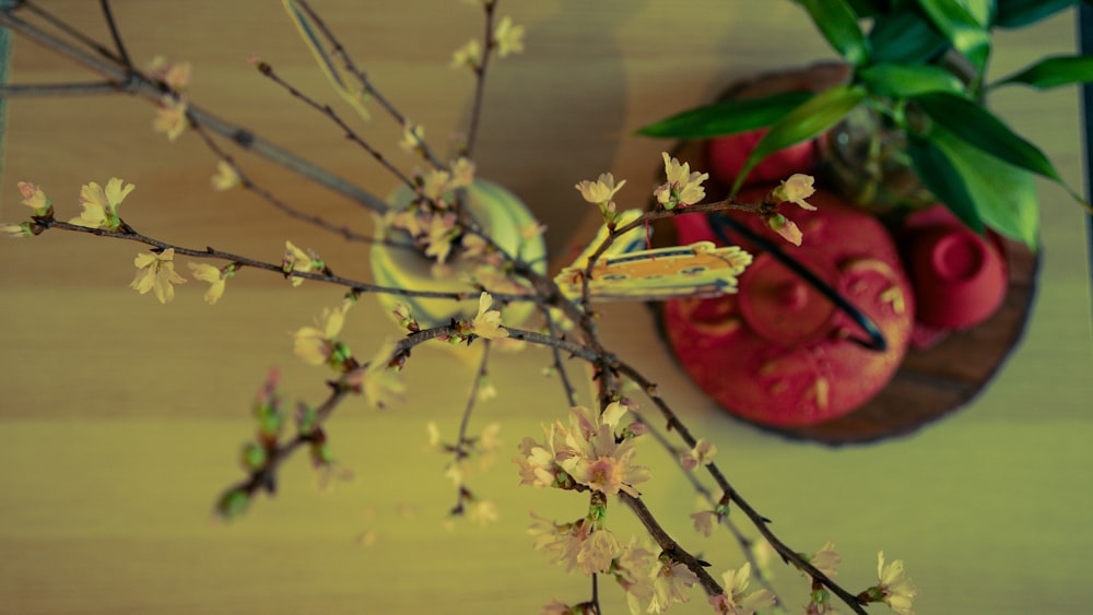 un vaso pieno di fiori accanto a una pianta