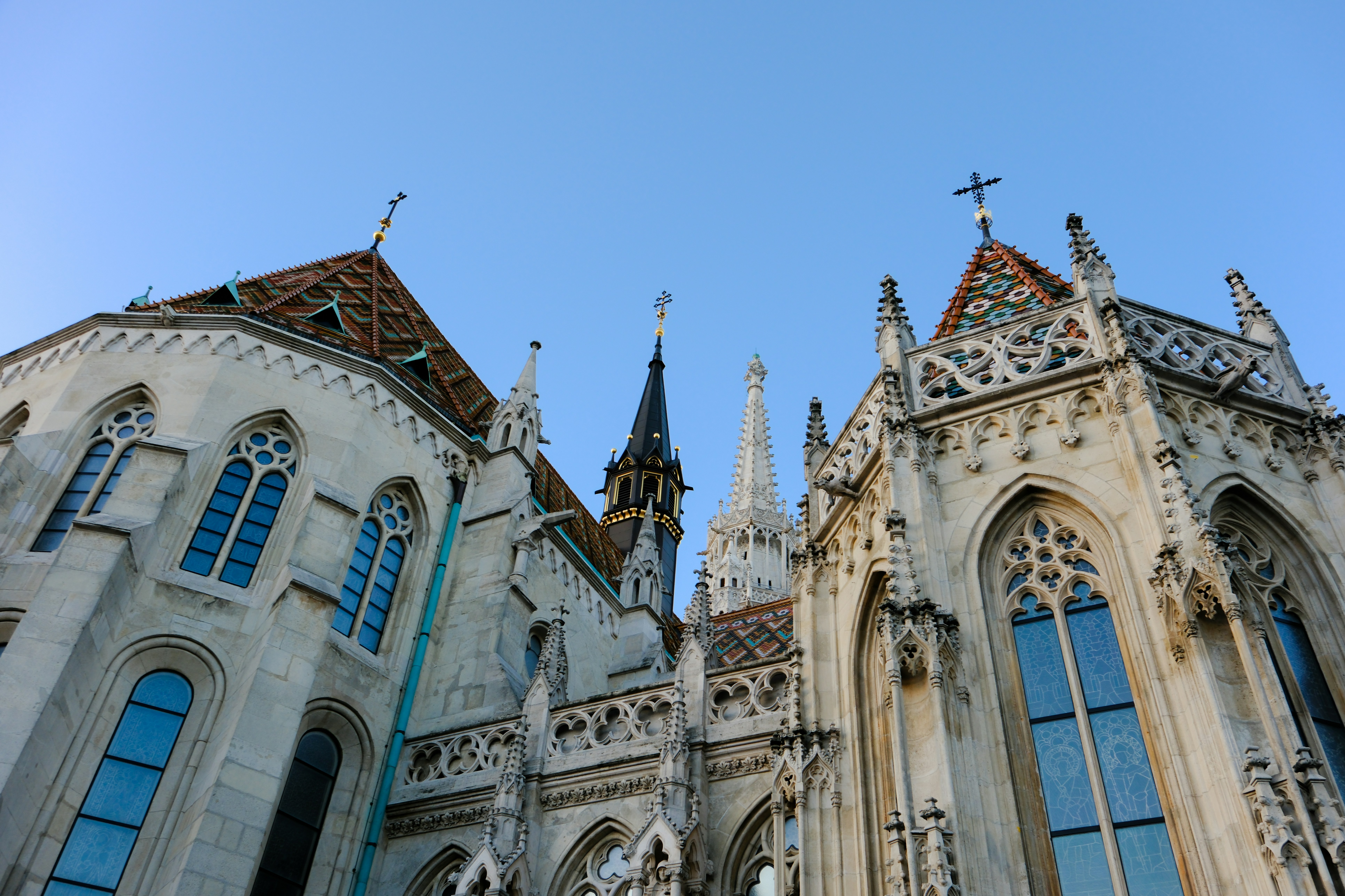 Photo by cestmoisheedy