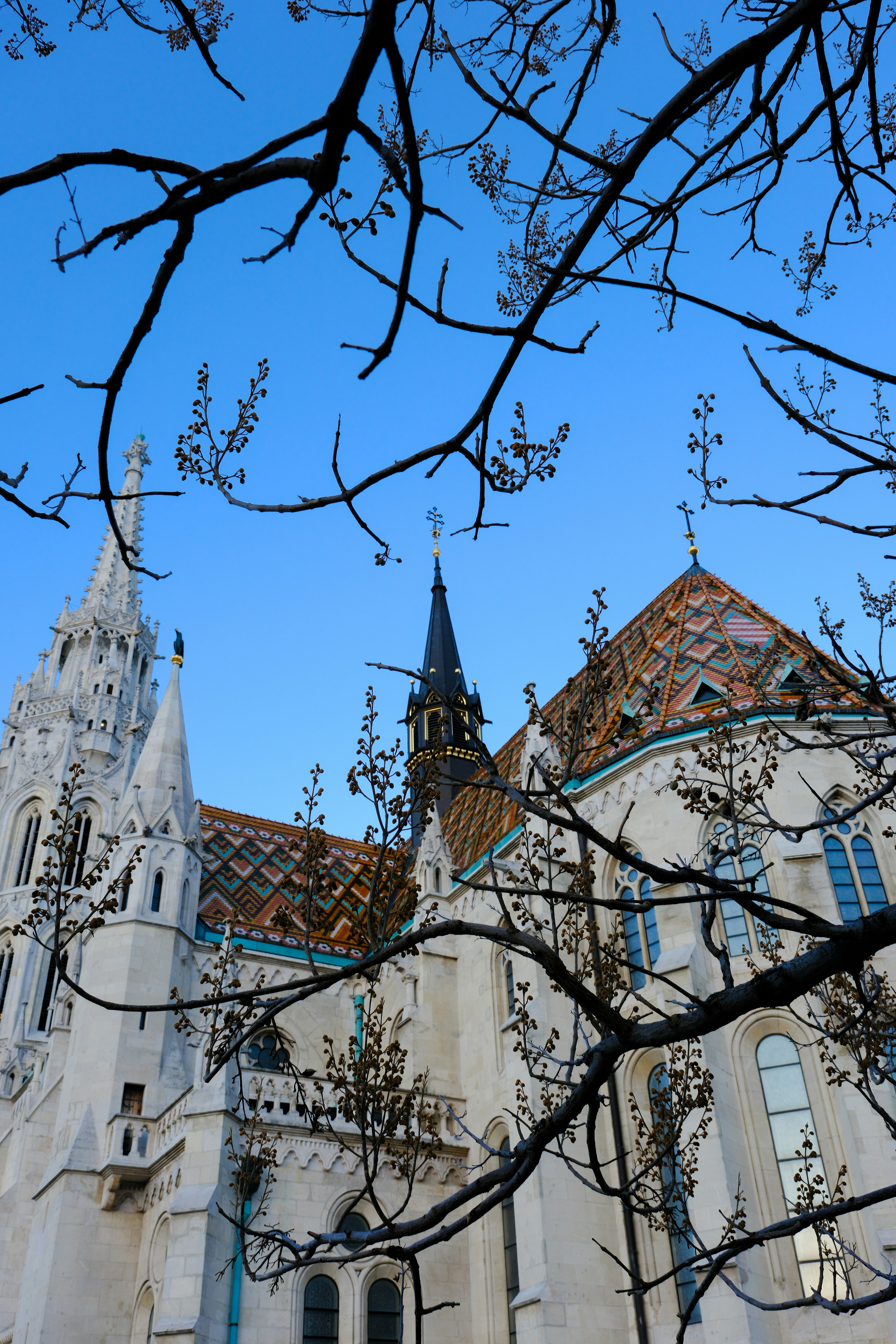 Photo by cestmoisheedy