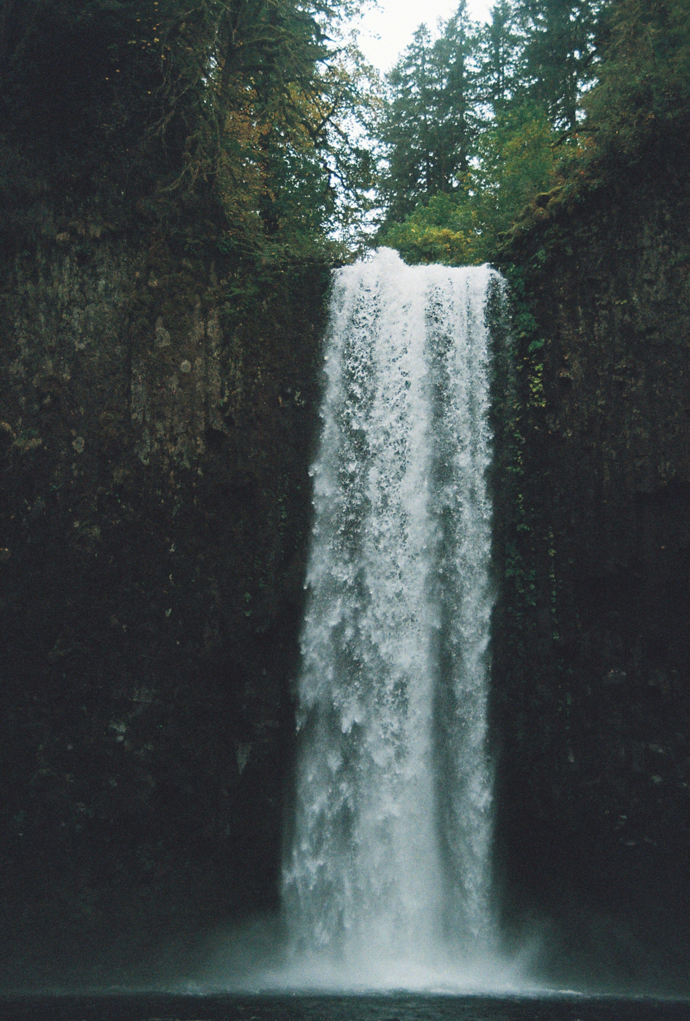 Photo by shumatesam