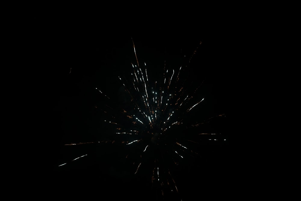 a fireworks is lit up in the dark sky