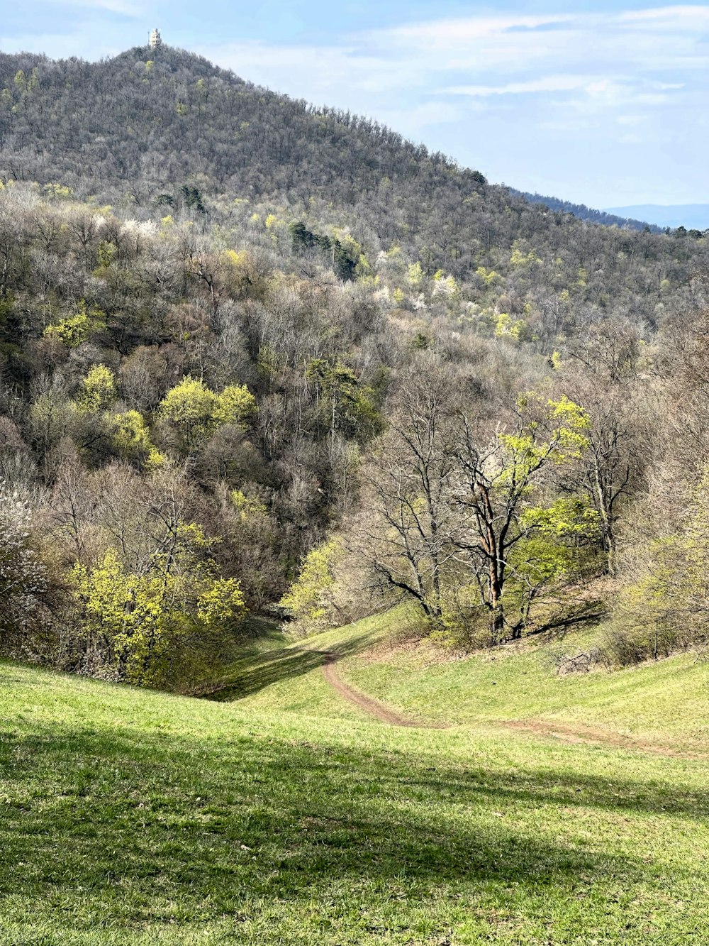 a grassy field with trees and a hill in the background