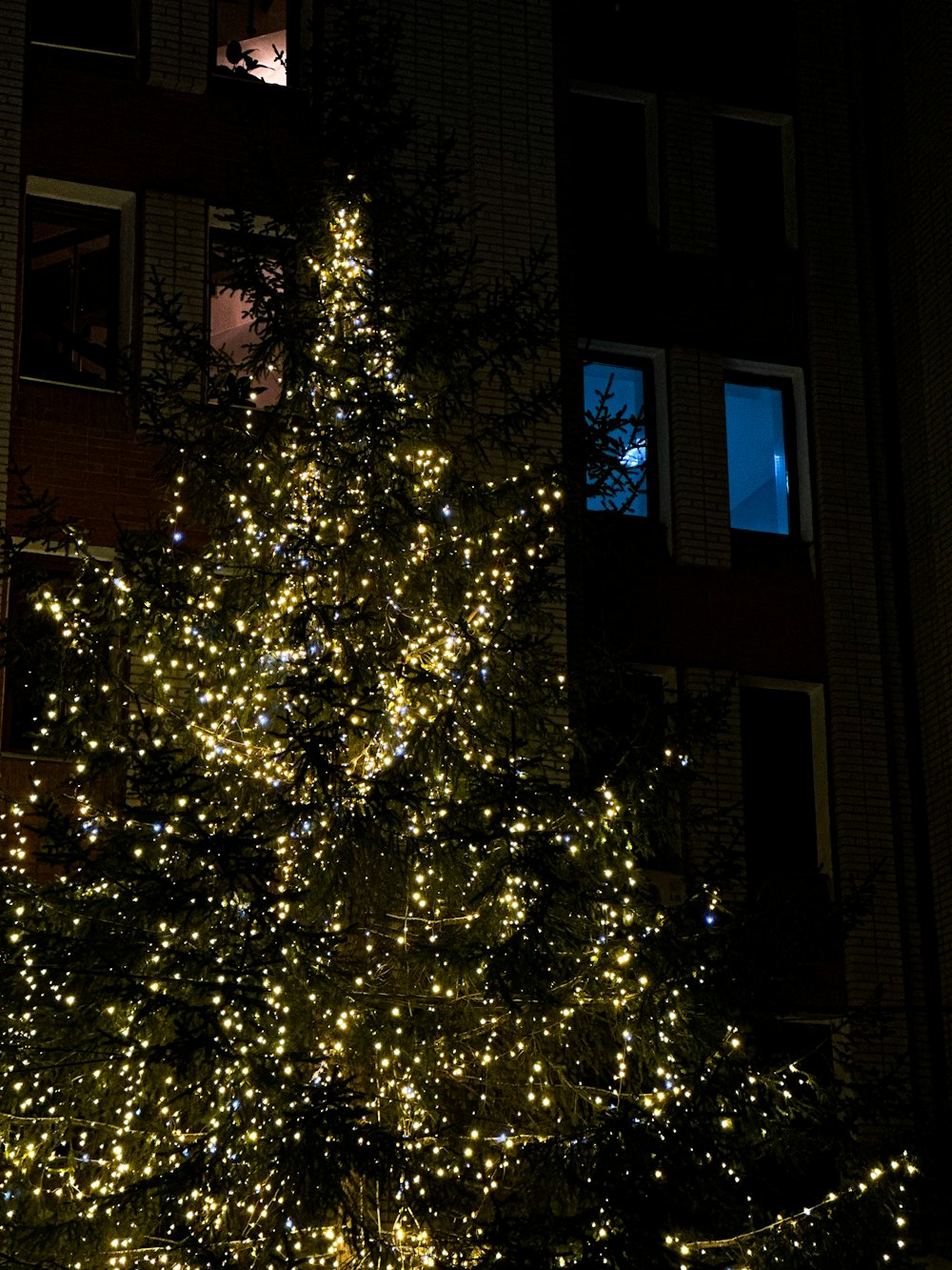 a lit up christmas tree in front of a building