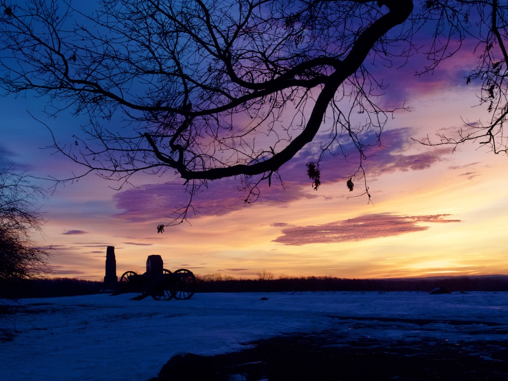 a tree with no leaves in front of a purple and blue sky