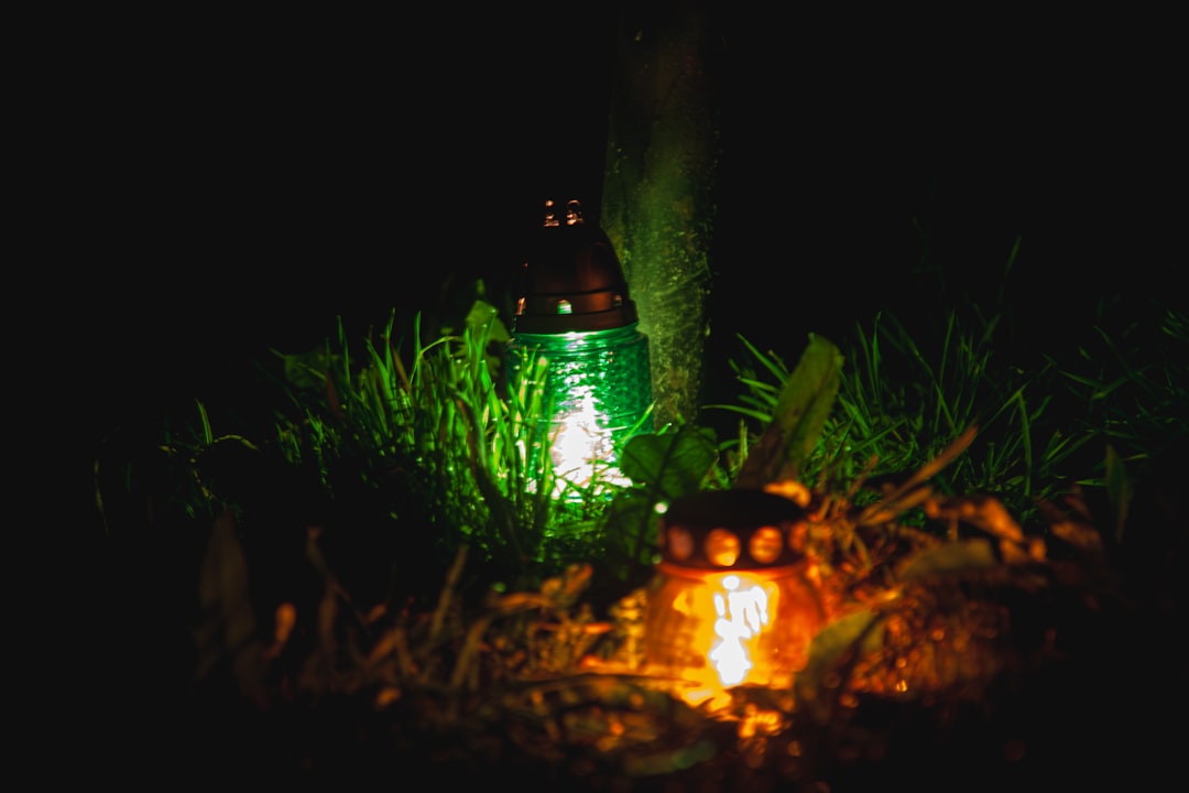 a green lantern sitting on top of a lush green field, Lamps on All saints day
