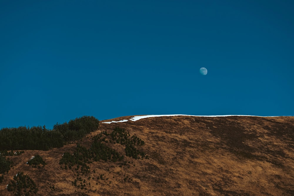 a full moon is seen above a grassy hill