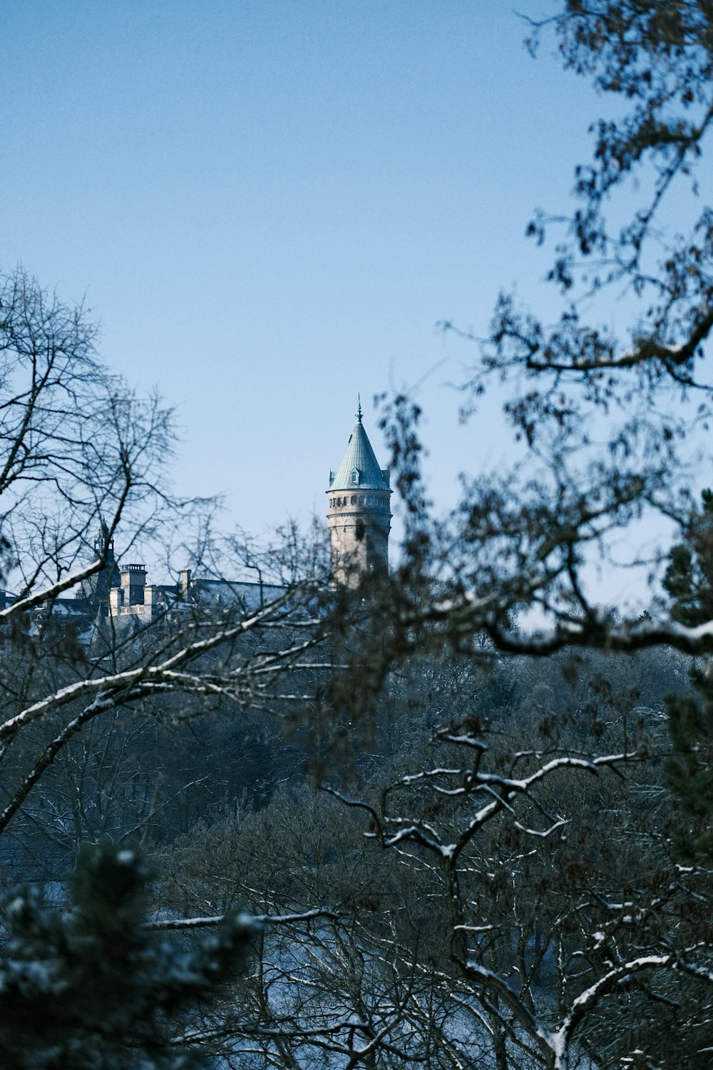 a clock tower is seen through the trees