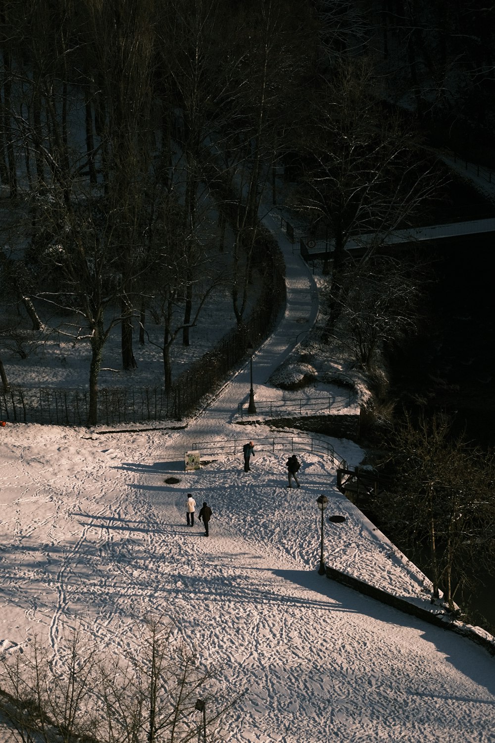 Un grupo de personas esquiando por una ladera cubierta de nieve
