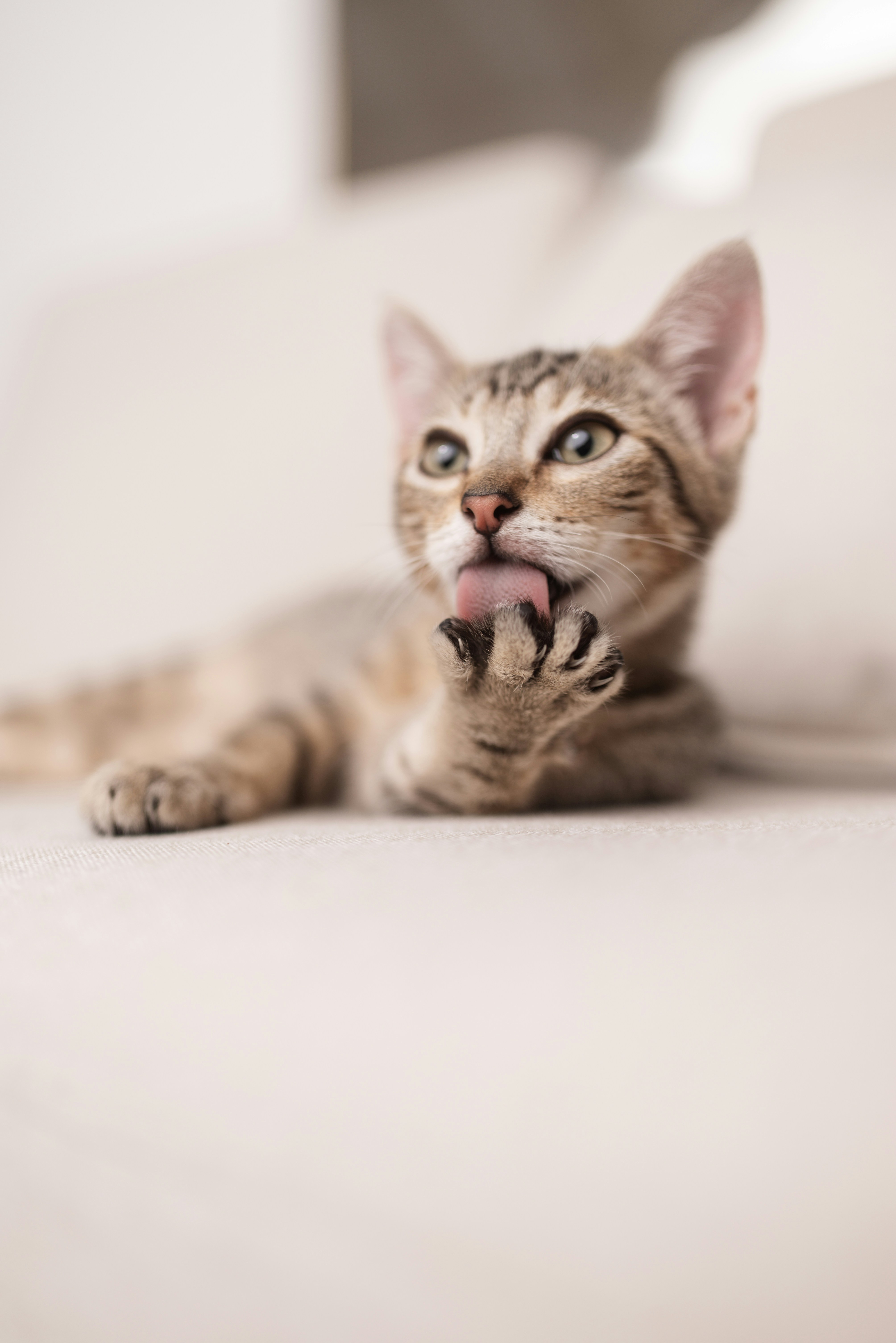 Photo by fotografaaanagomes