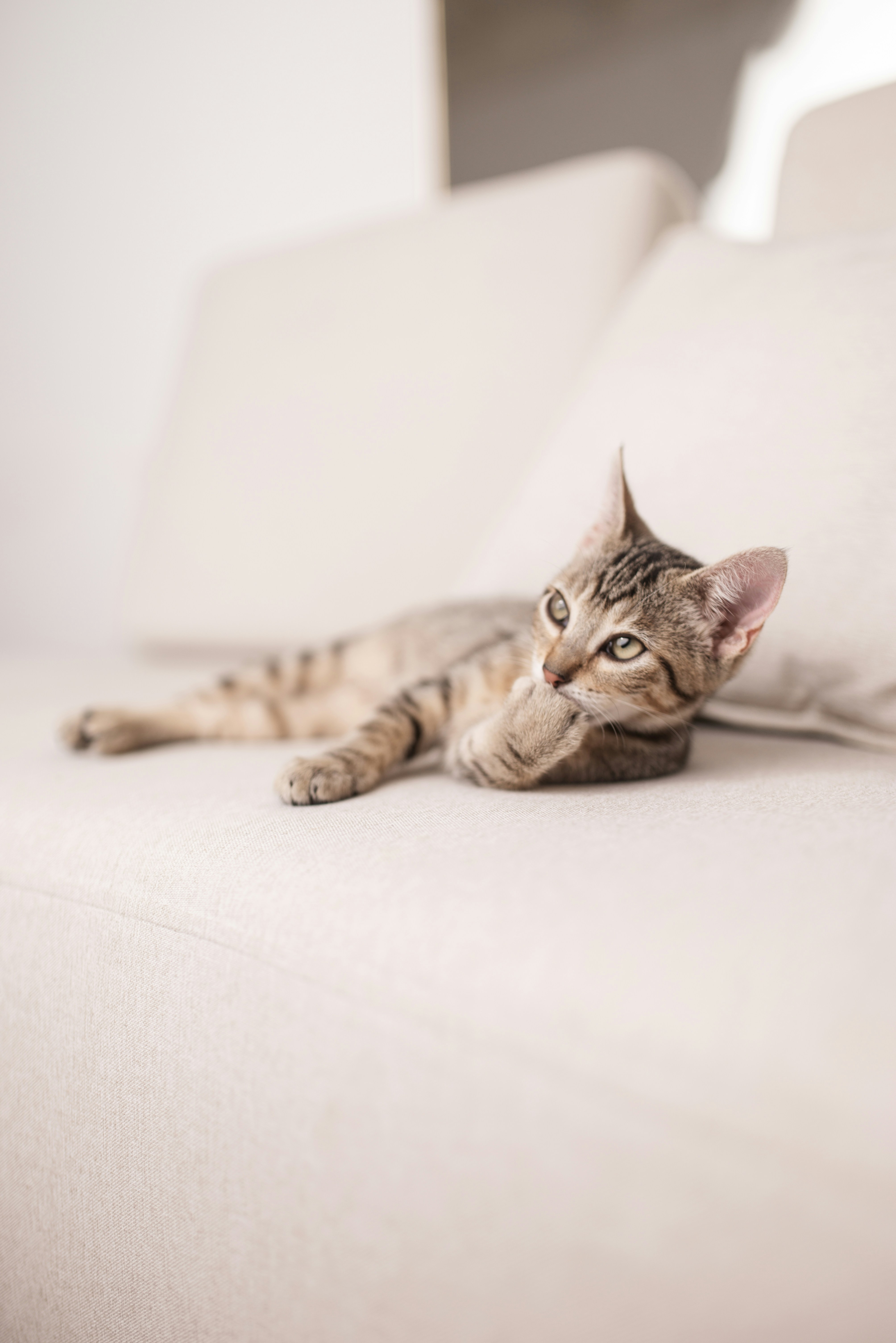 Photo by fotografaaanagomes