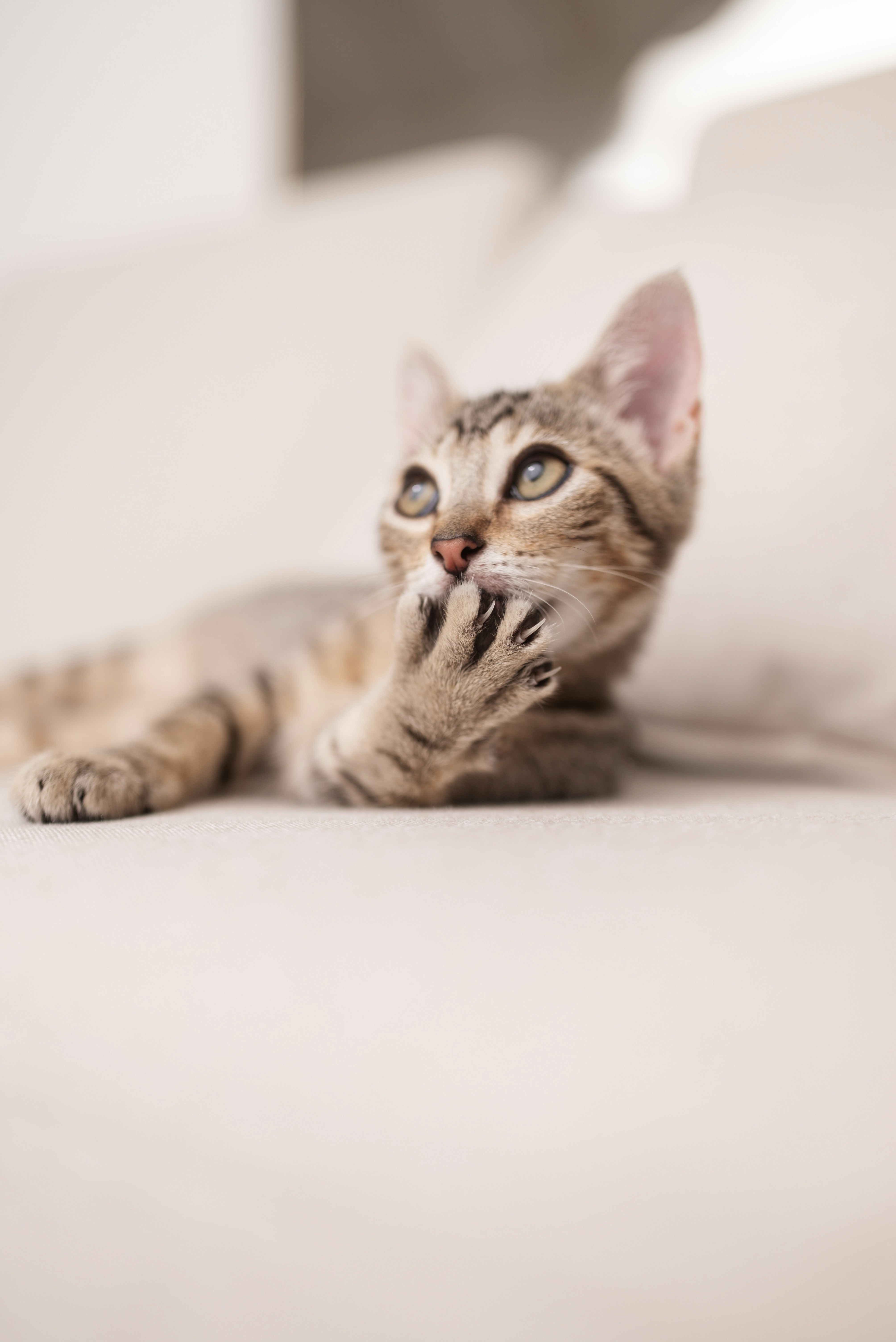 Photo by fotografaaanagomes