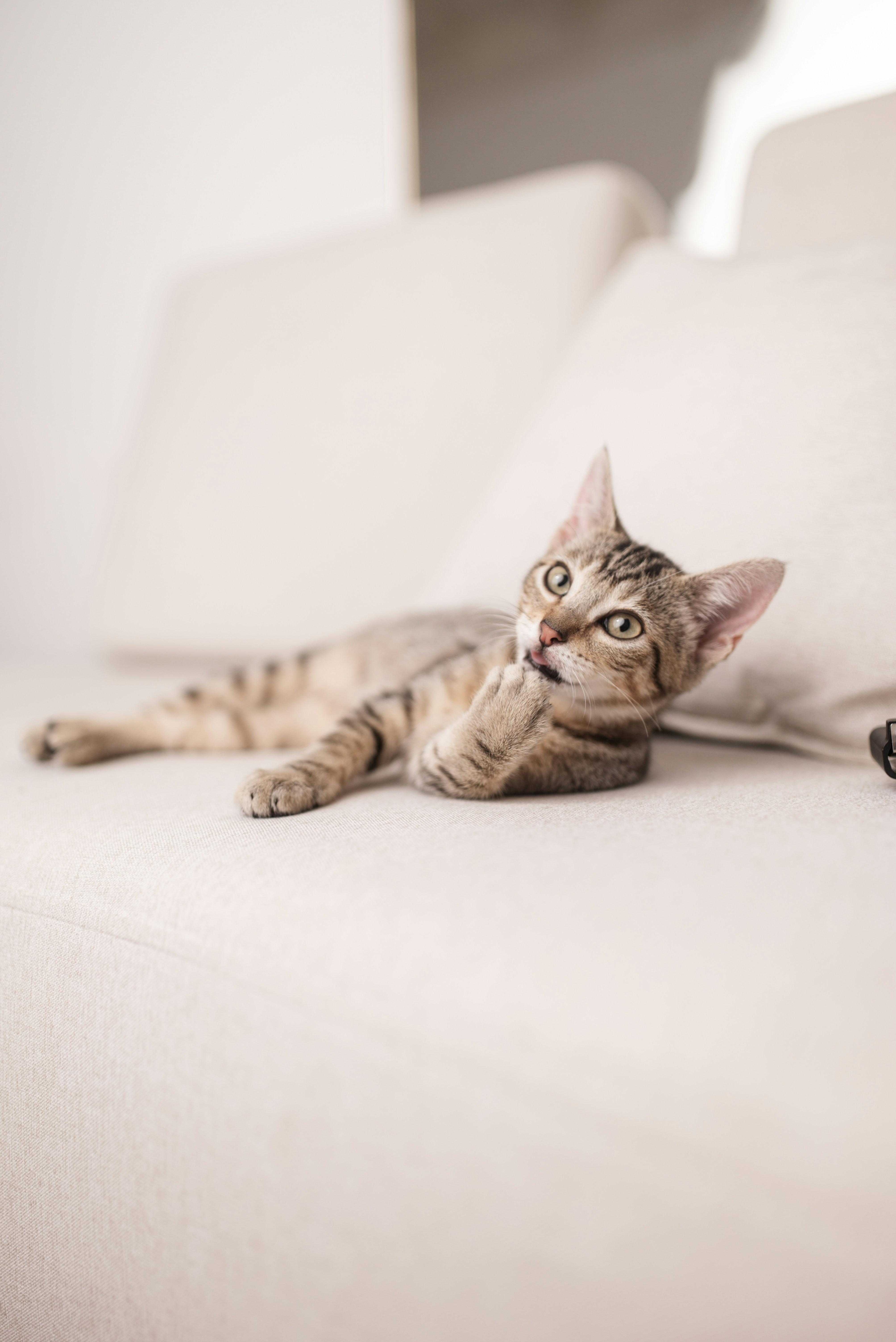 Photo by fotografaaanagomes