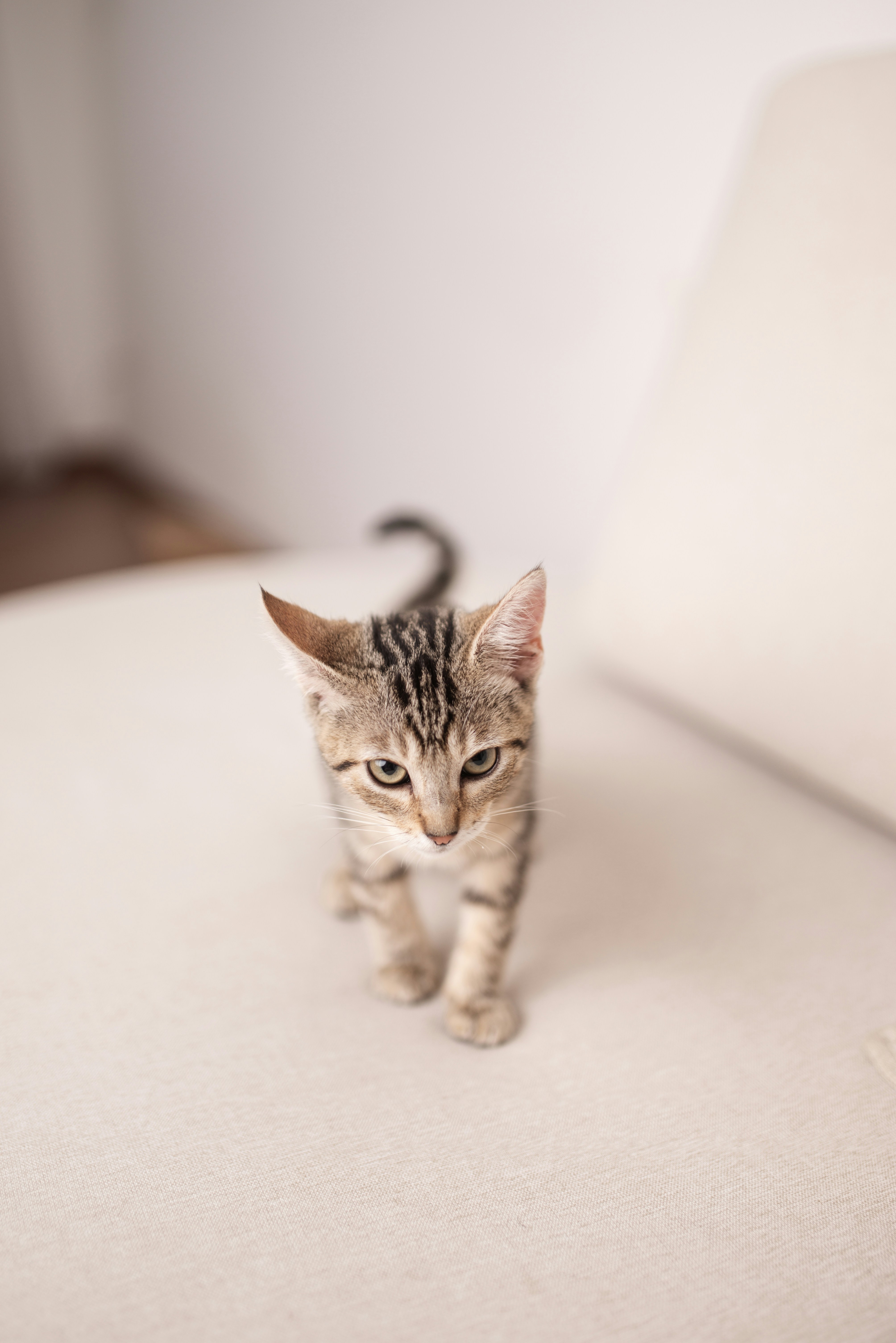 Photo by fotografaaanagomes