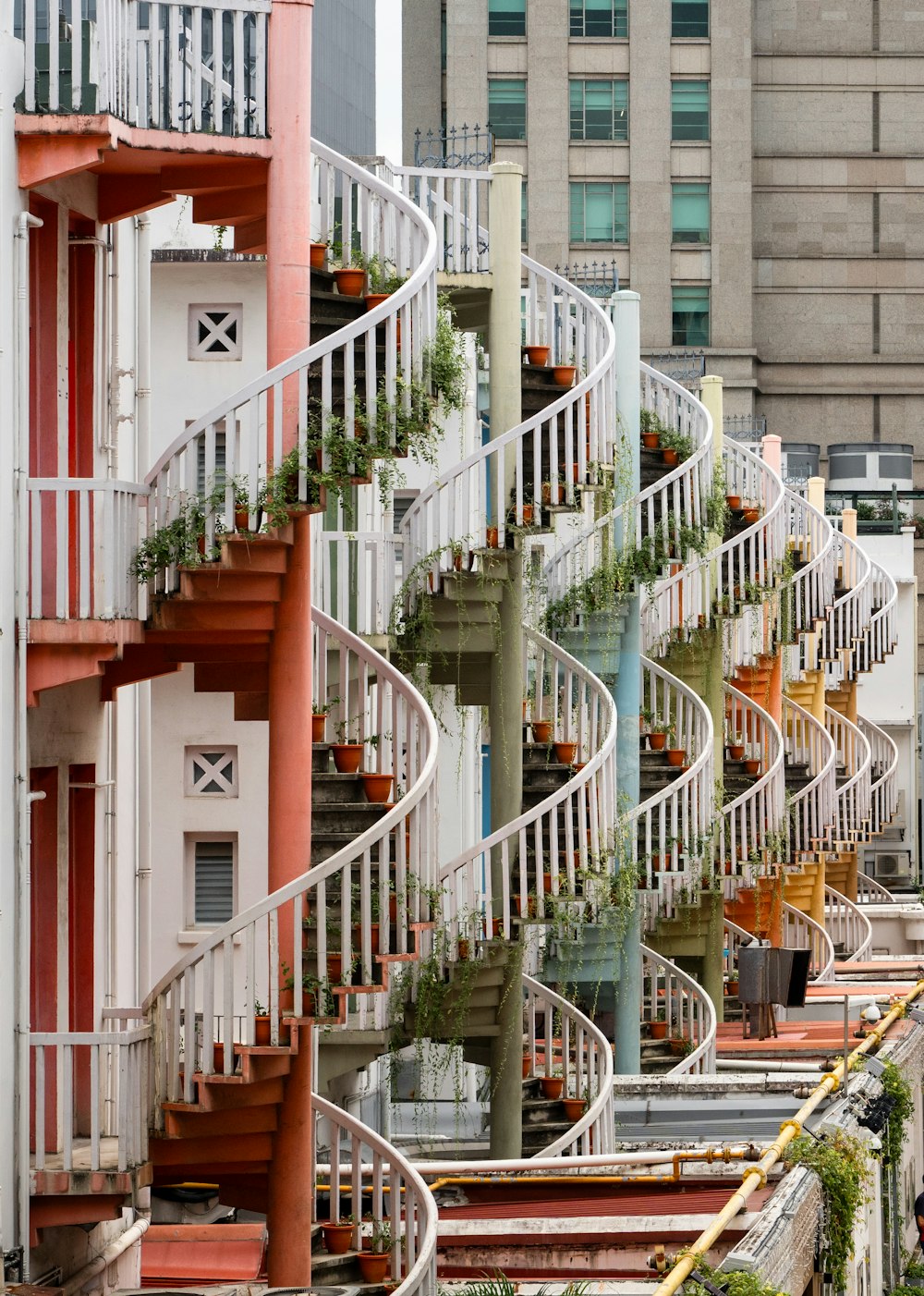 a row of buildings with a bunch of plants growing on the balconies