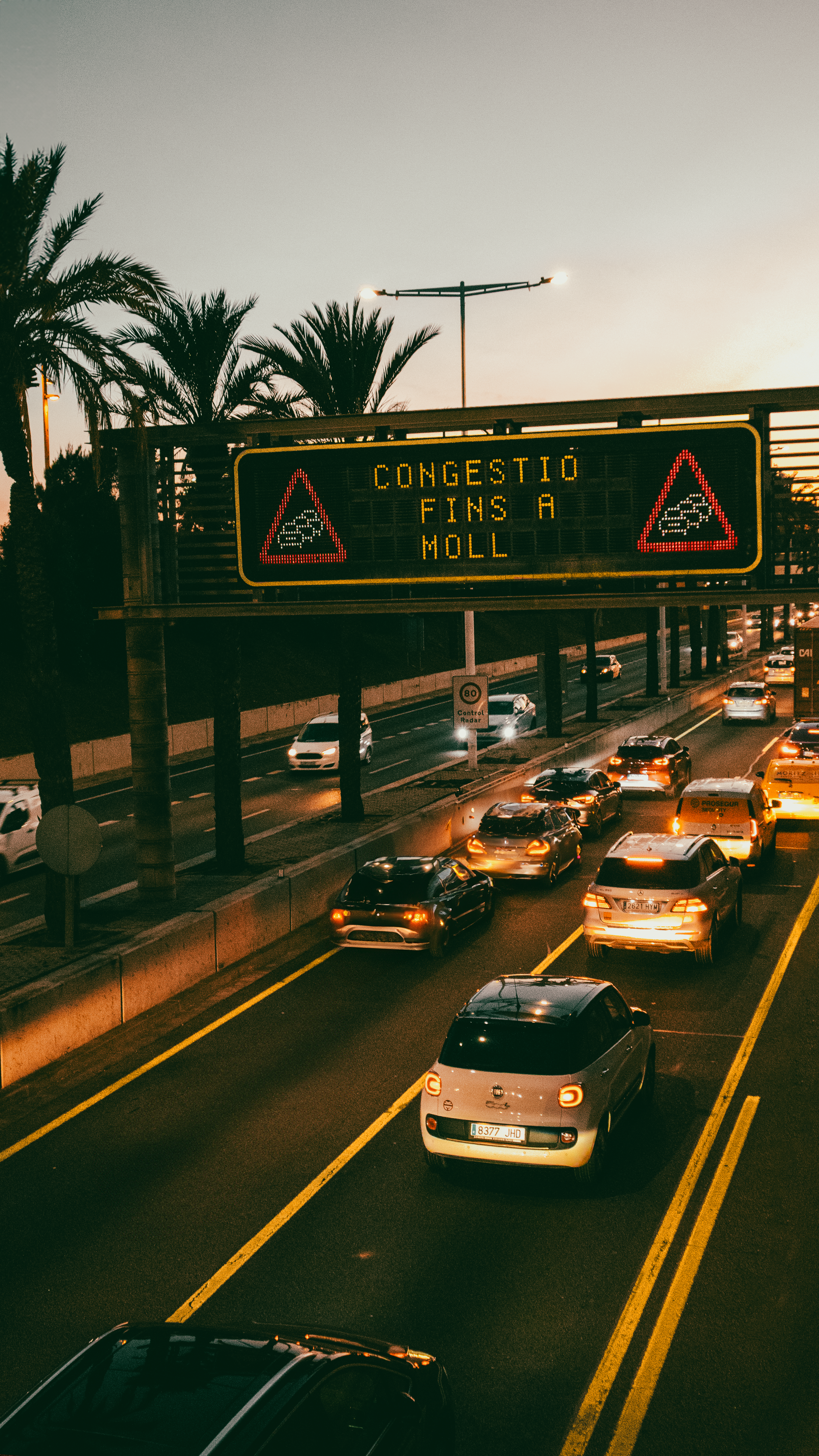 Un'autostrada piena di traffico accanto alle palme