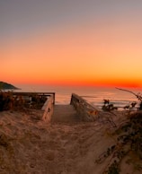 a wooden bench sitting on top of a sandy beach