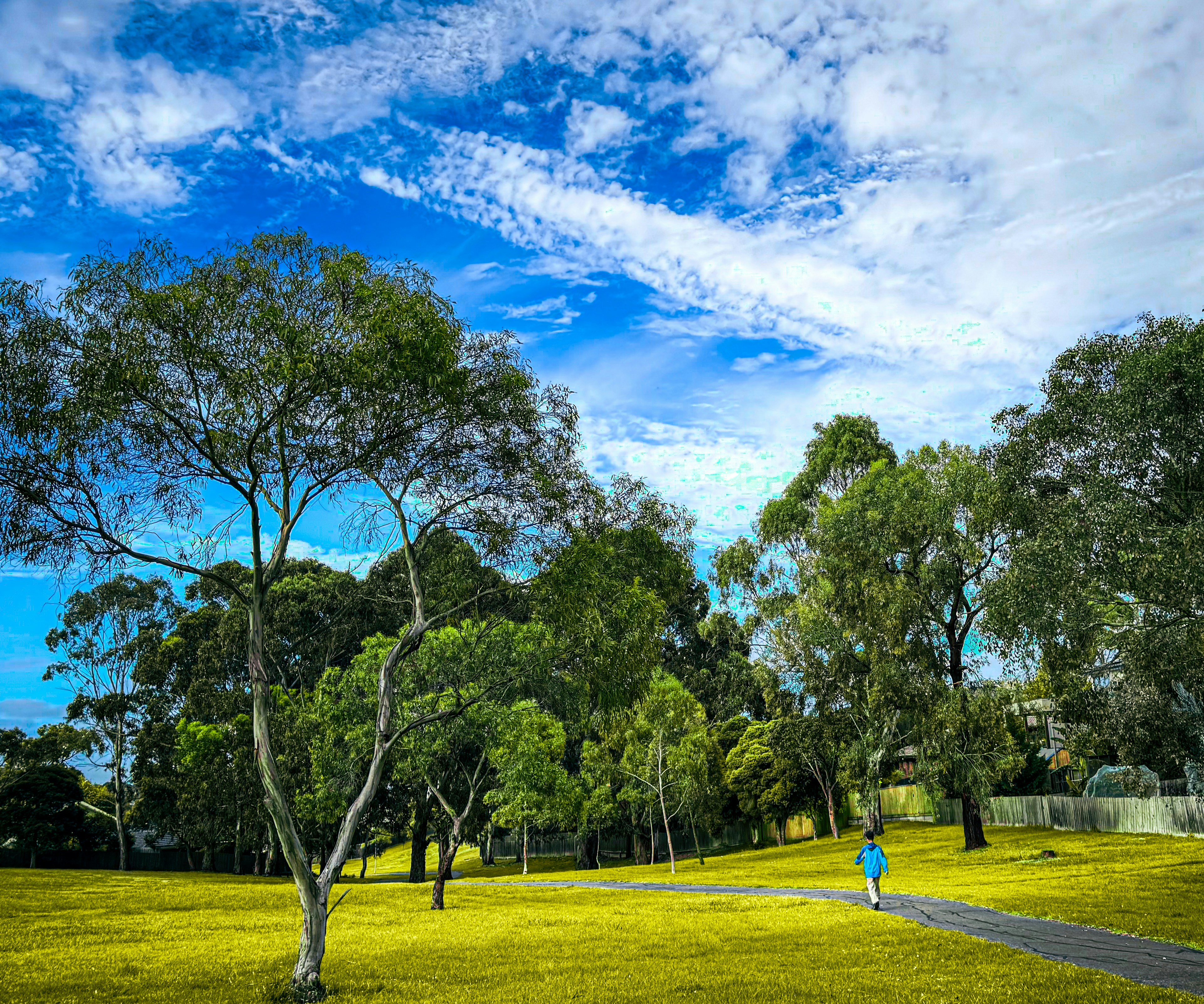 Rosny Park, Tasmania