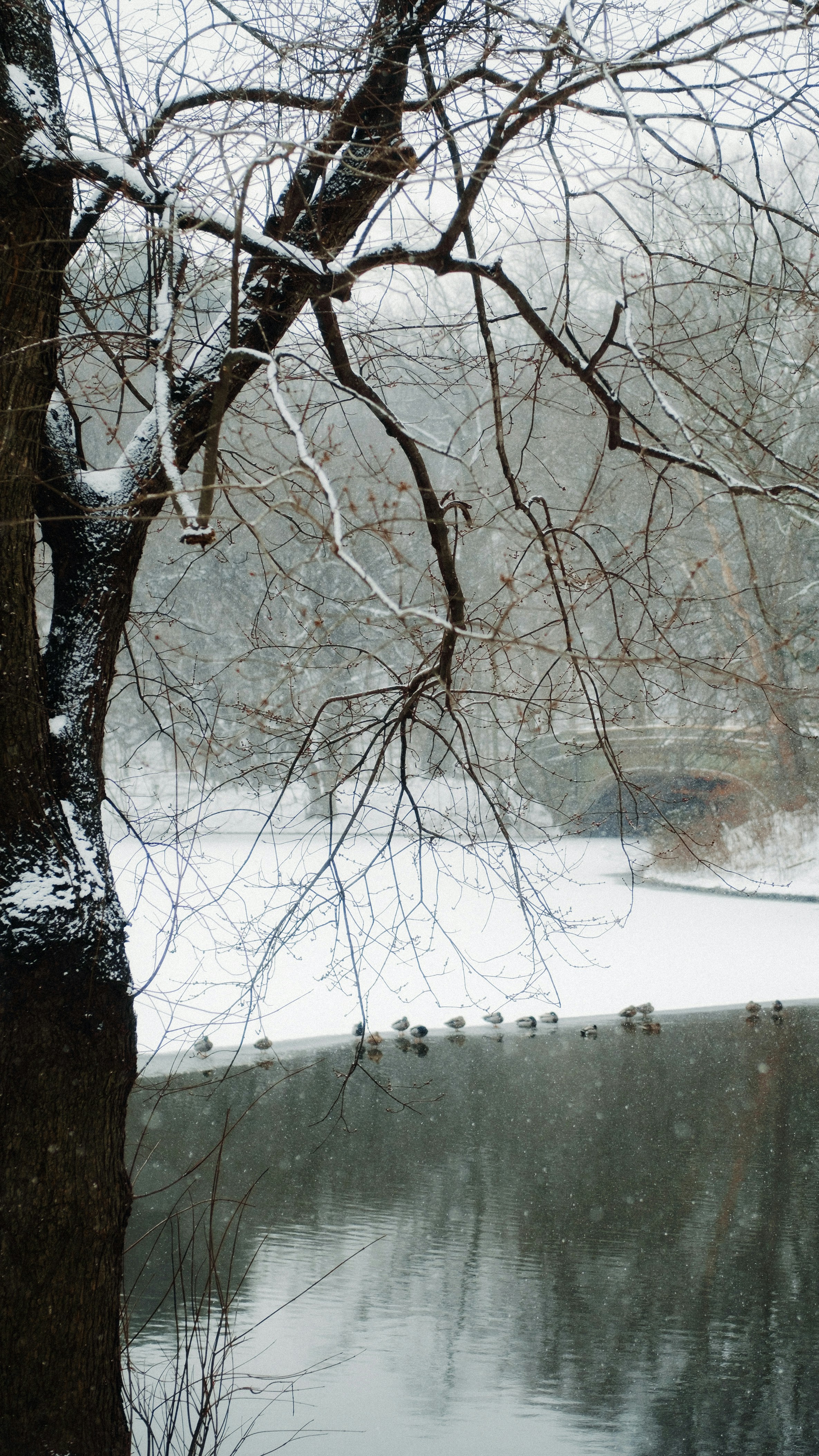 Photo by marsupialpudding