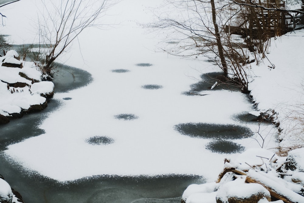 une rivière qui coule à travers une forêt enneigée