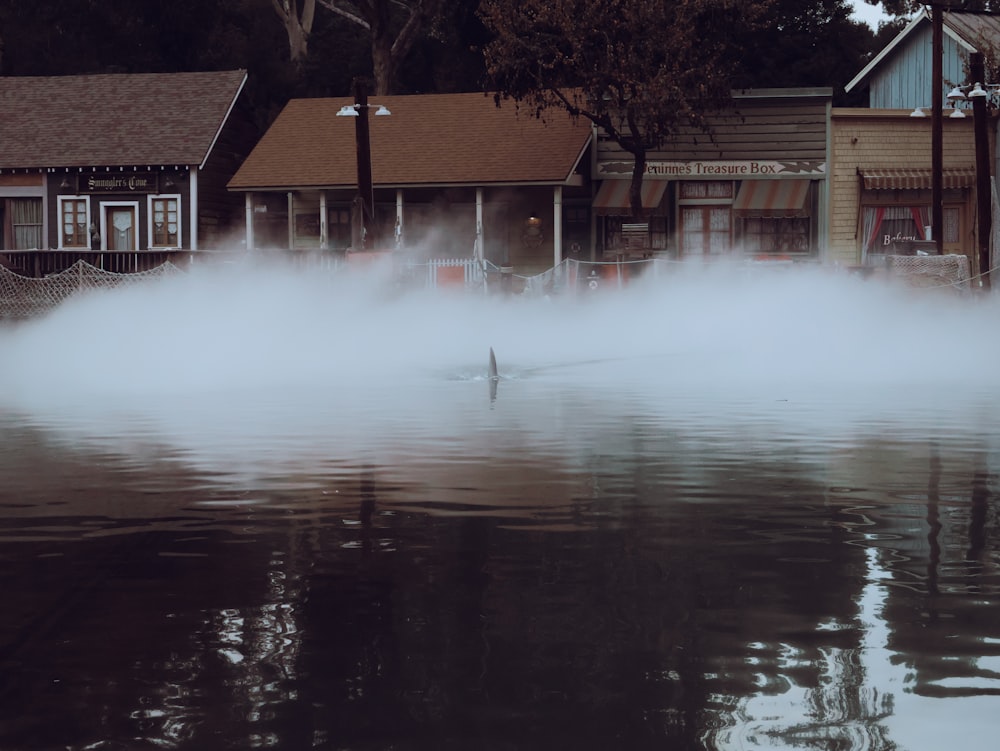 a body of water with a bird in the middle of it