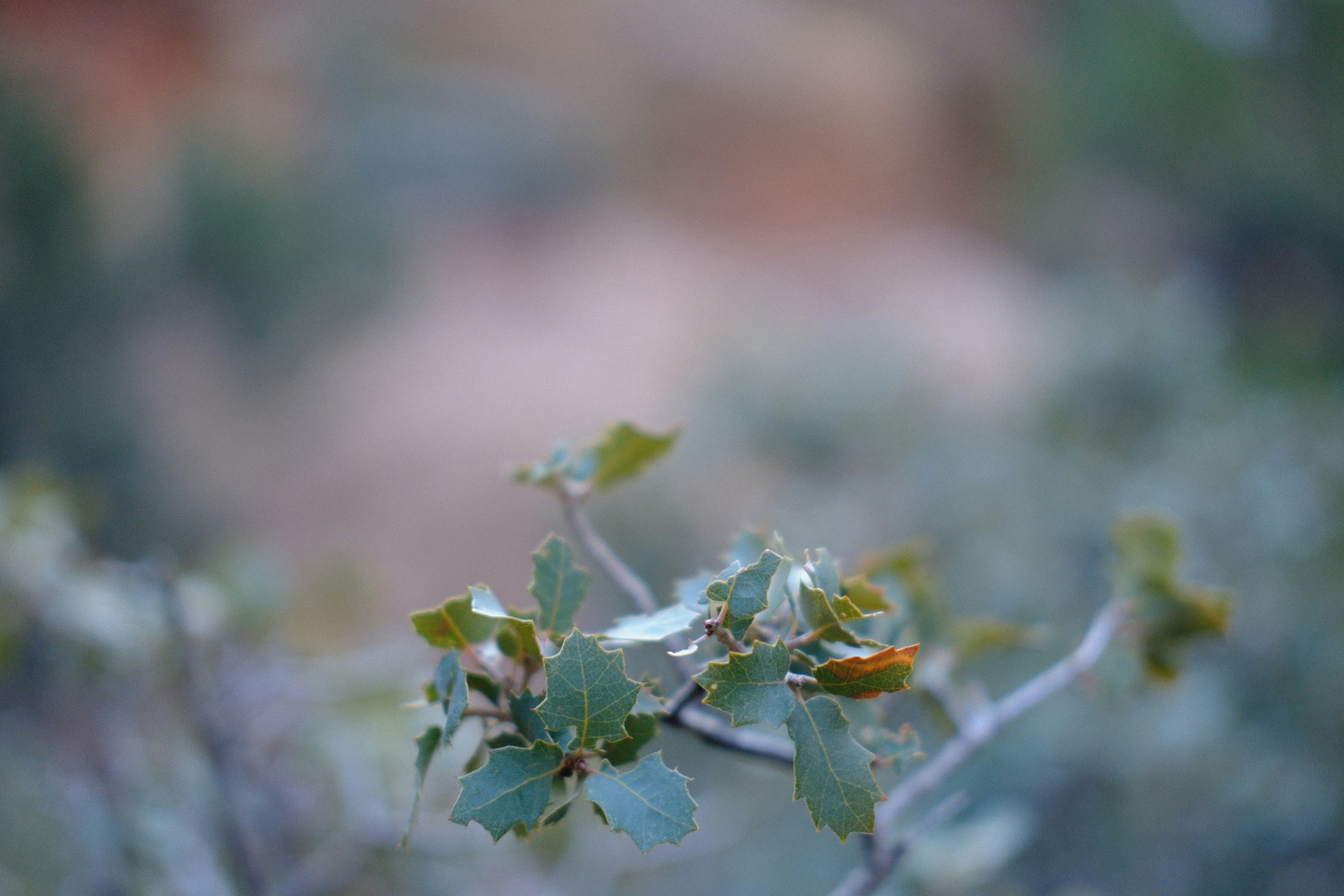 Photo by tonny_huang