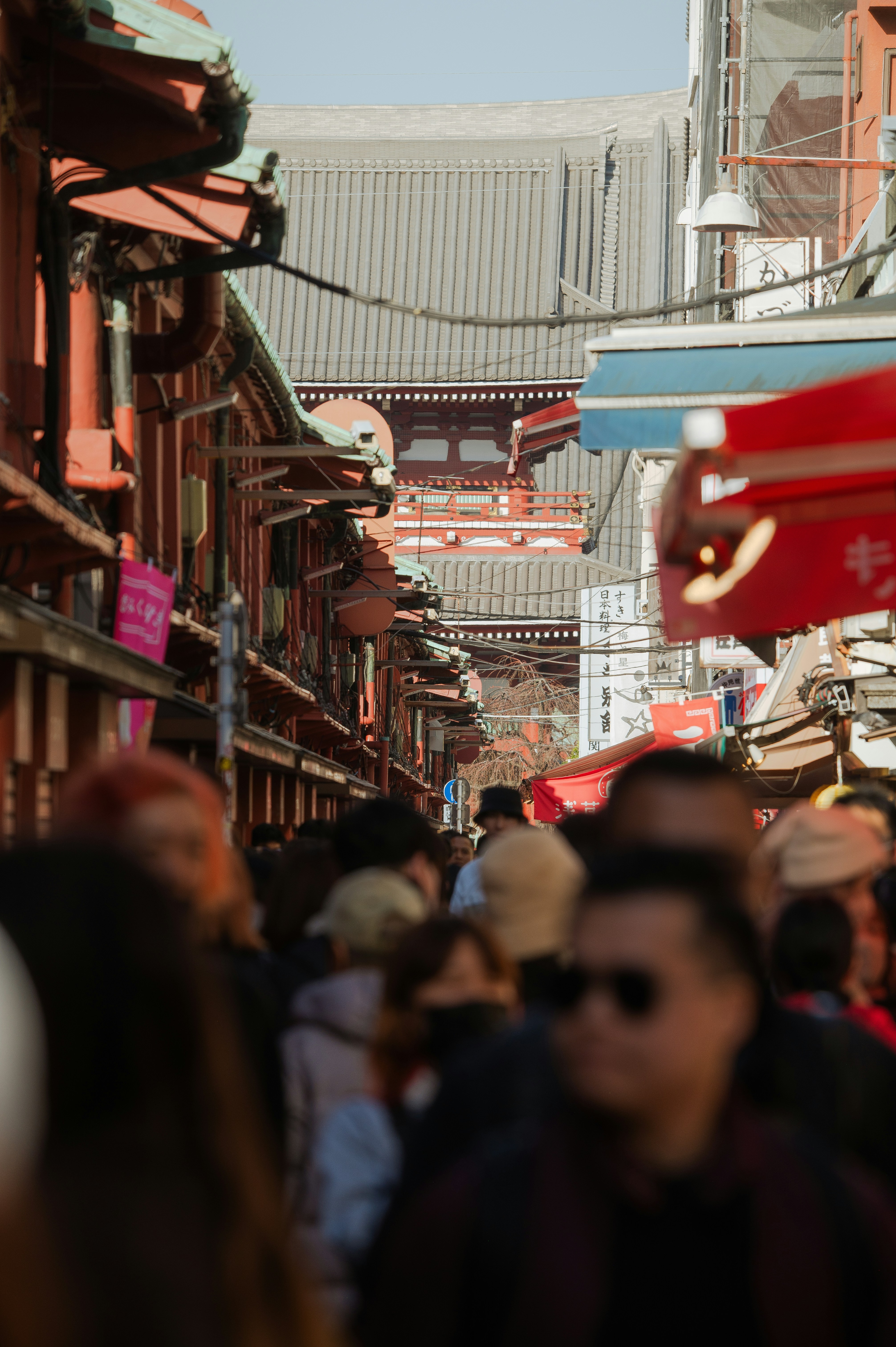 Photo by ryunosuke_kikuno