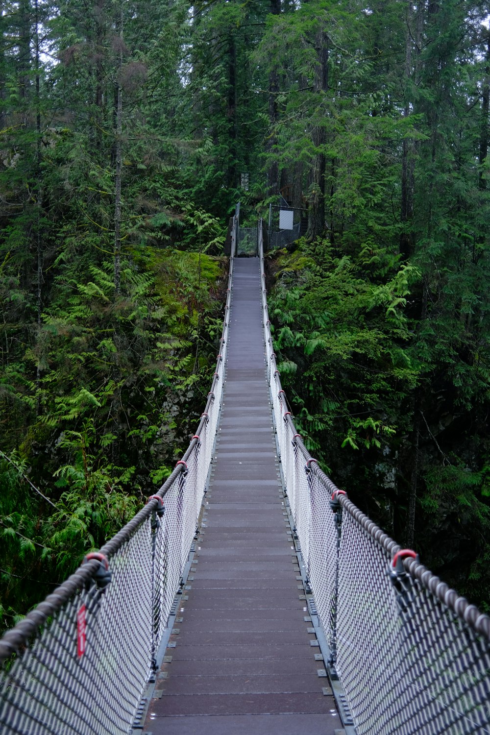 a suspension bridge in the middle of a forest