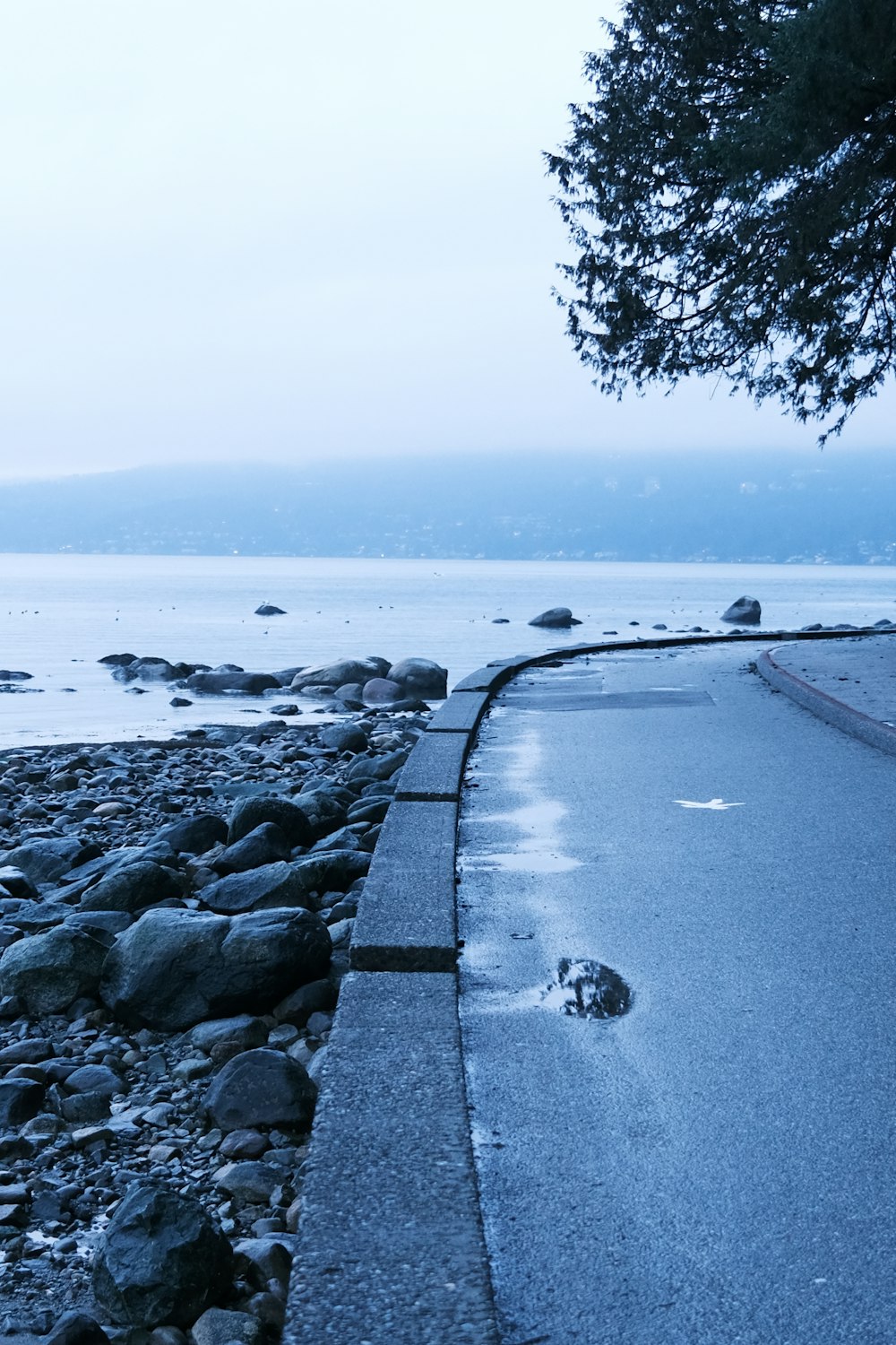 un banc assis sur le bord d’une plage à côté d’un arbre