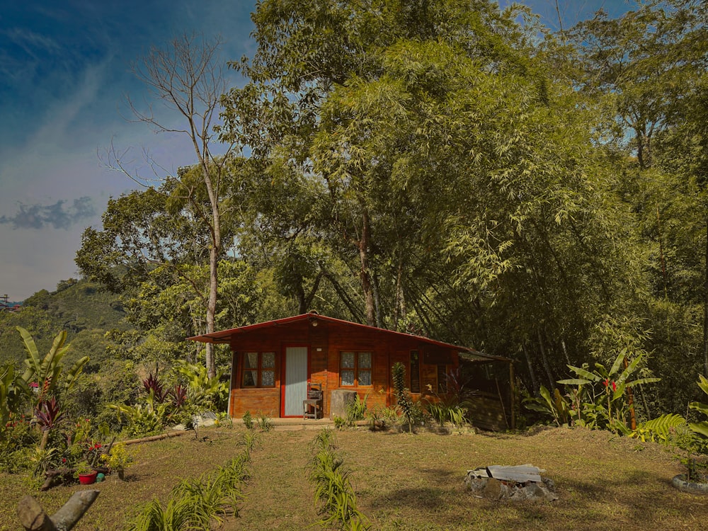 a small cabin in the middle of a forest