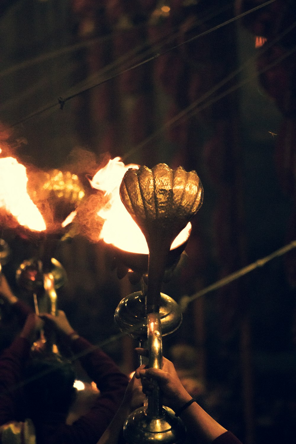 a group of people holding torches in their hands