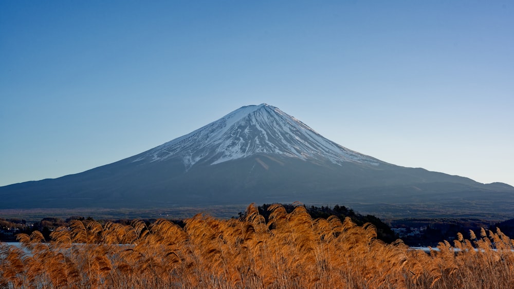 a tall mountain with a snow covered top