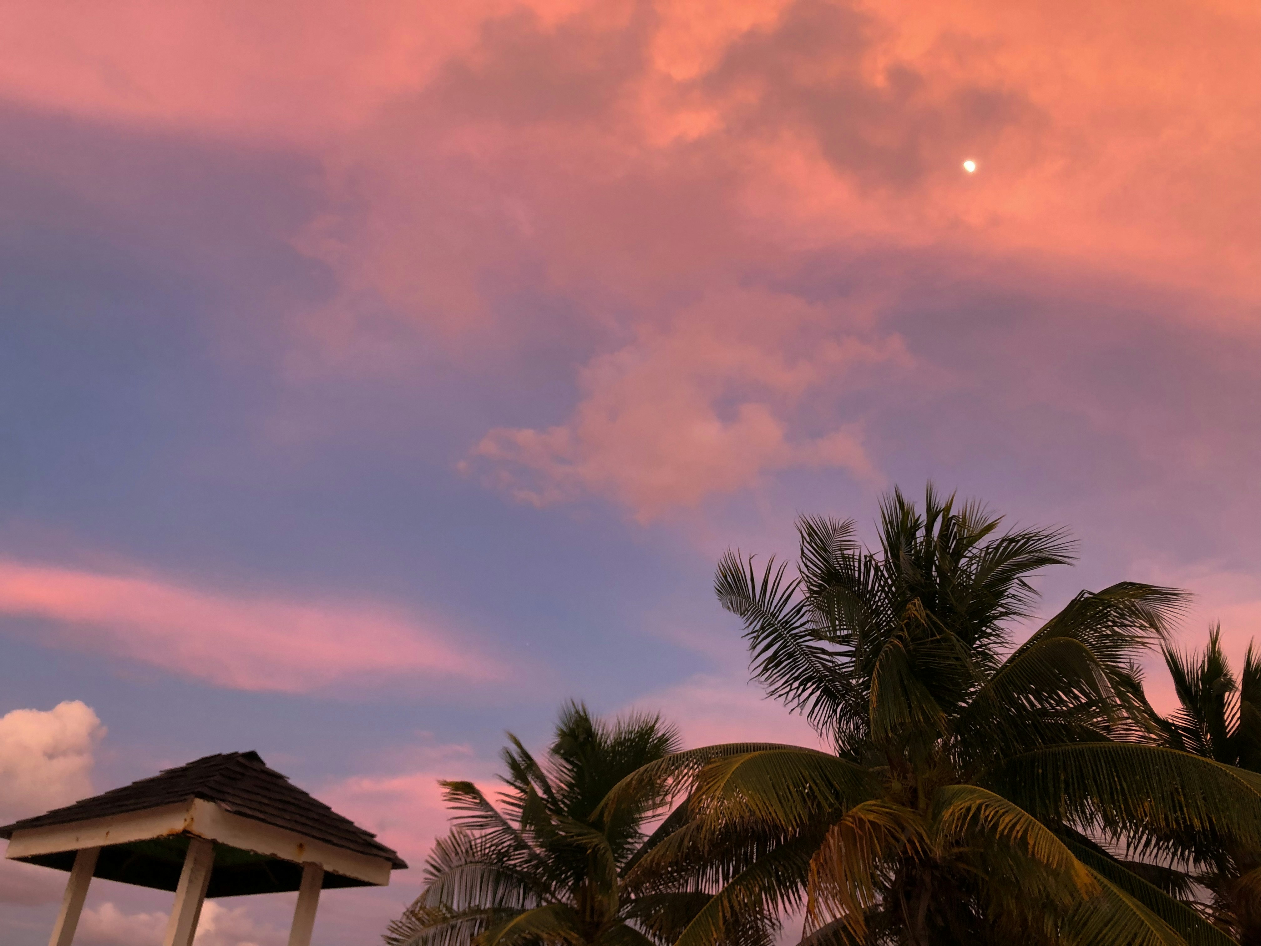 Photo by kaylalinford