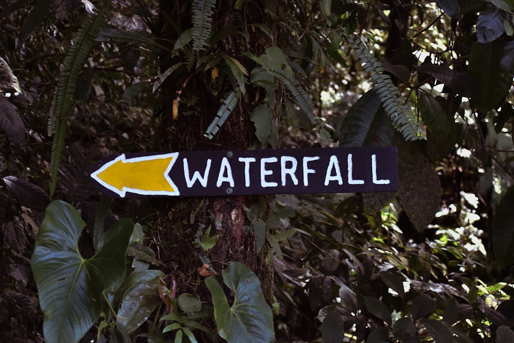 a street sign pointing to a waterfall in the woods