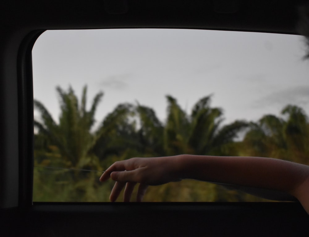 a person's hand out of a vehicle window